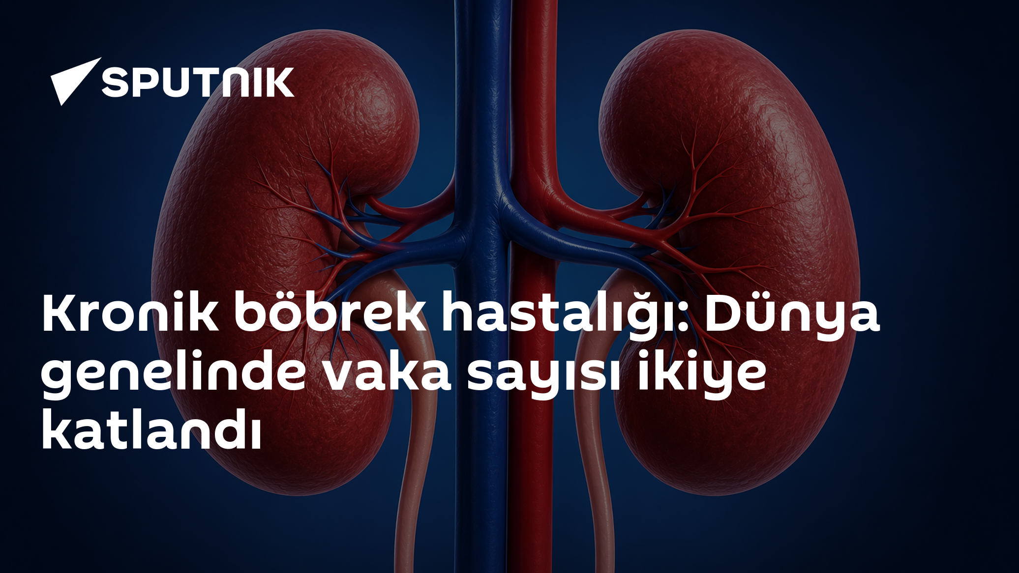 Kronik böbrek hastalığı: Dünya genelinde vaka sayısı ikiye katlandı