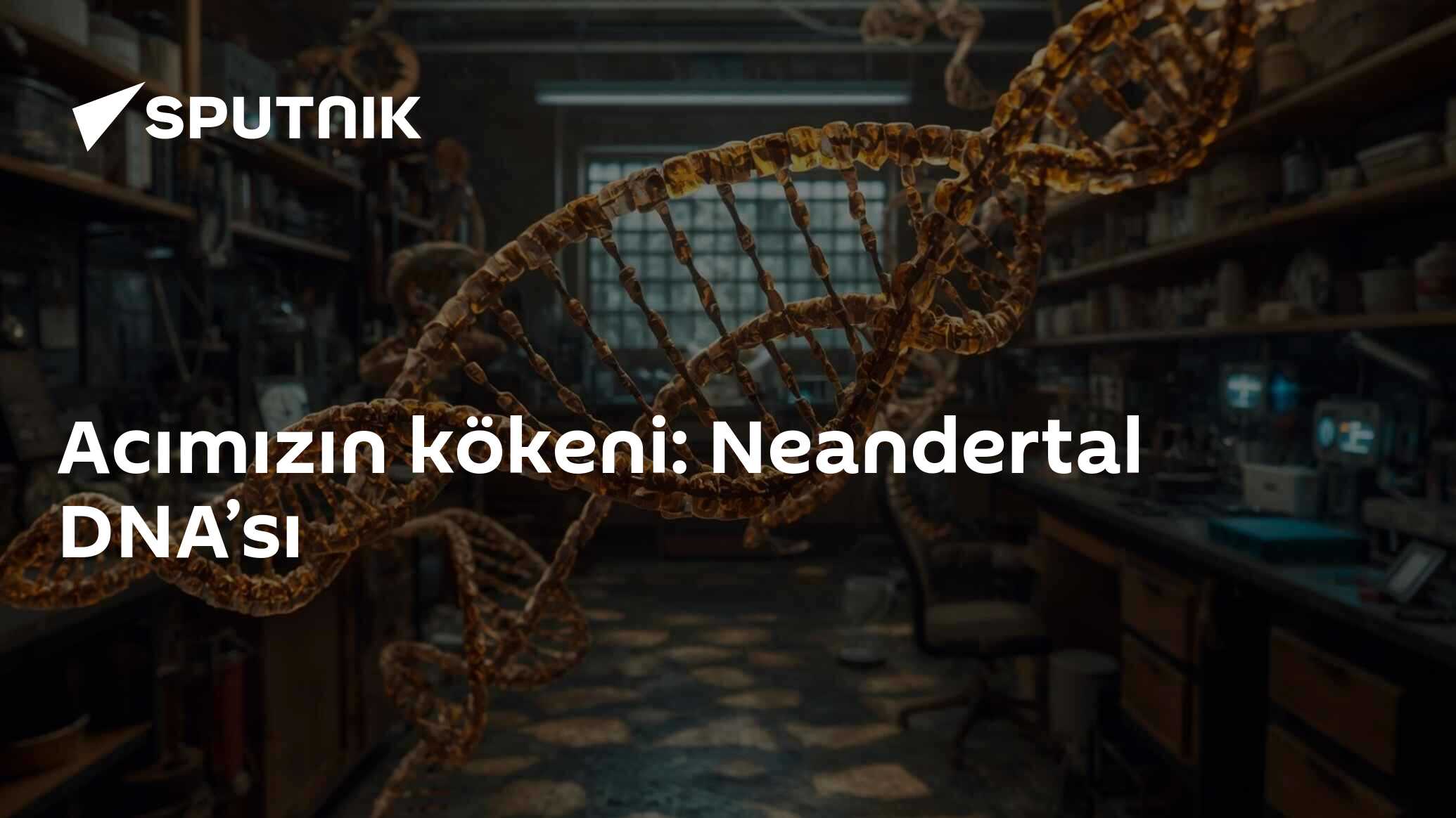 Acımızın kökeni: Neandertal DNA’sı