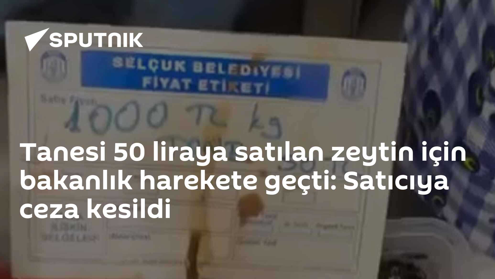 Tanesi 50 liraya satılan zeytin için bakanlık harekete geçti: Satıcıya ceza kesildi
