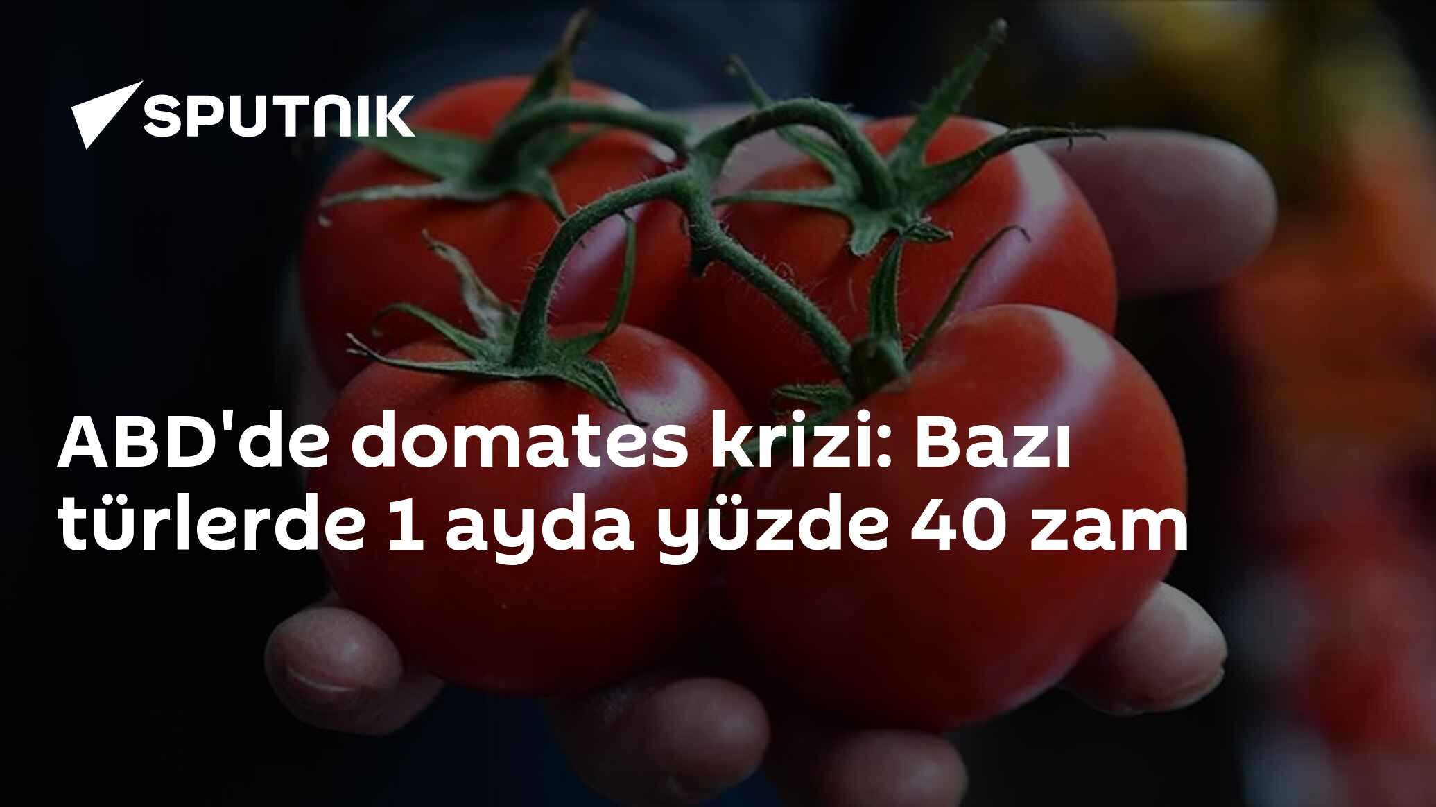 ABD'de domates krizi: Bazı türlerde 1 ayda yüzde 40 zam