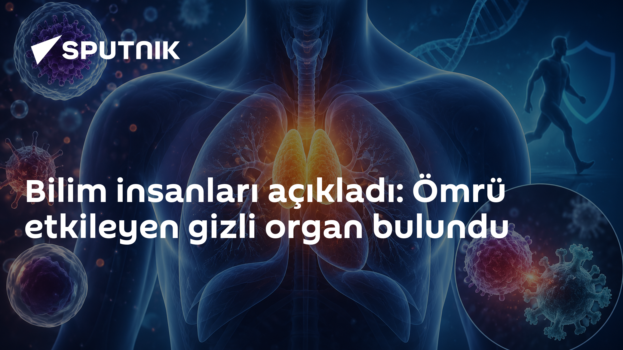 Bilim insanları açıkladı: Ömrü etkileyen gizli organ bulundu