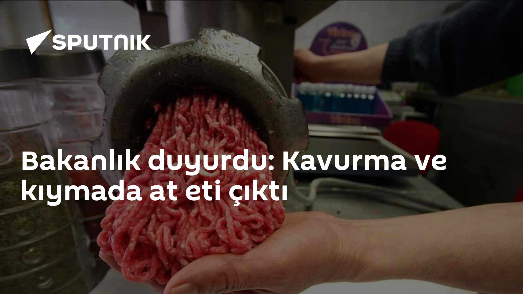 Bakanlık duyurdu: Kavurma ve kıymada at eti çıktı