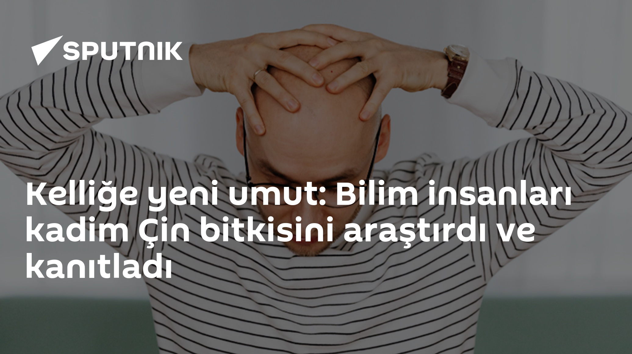 Kelliğe yeni umut: Bilim insanları kadim Çin bitki