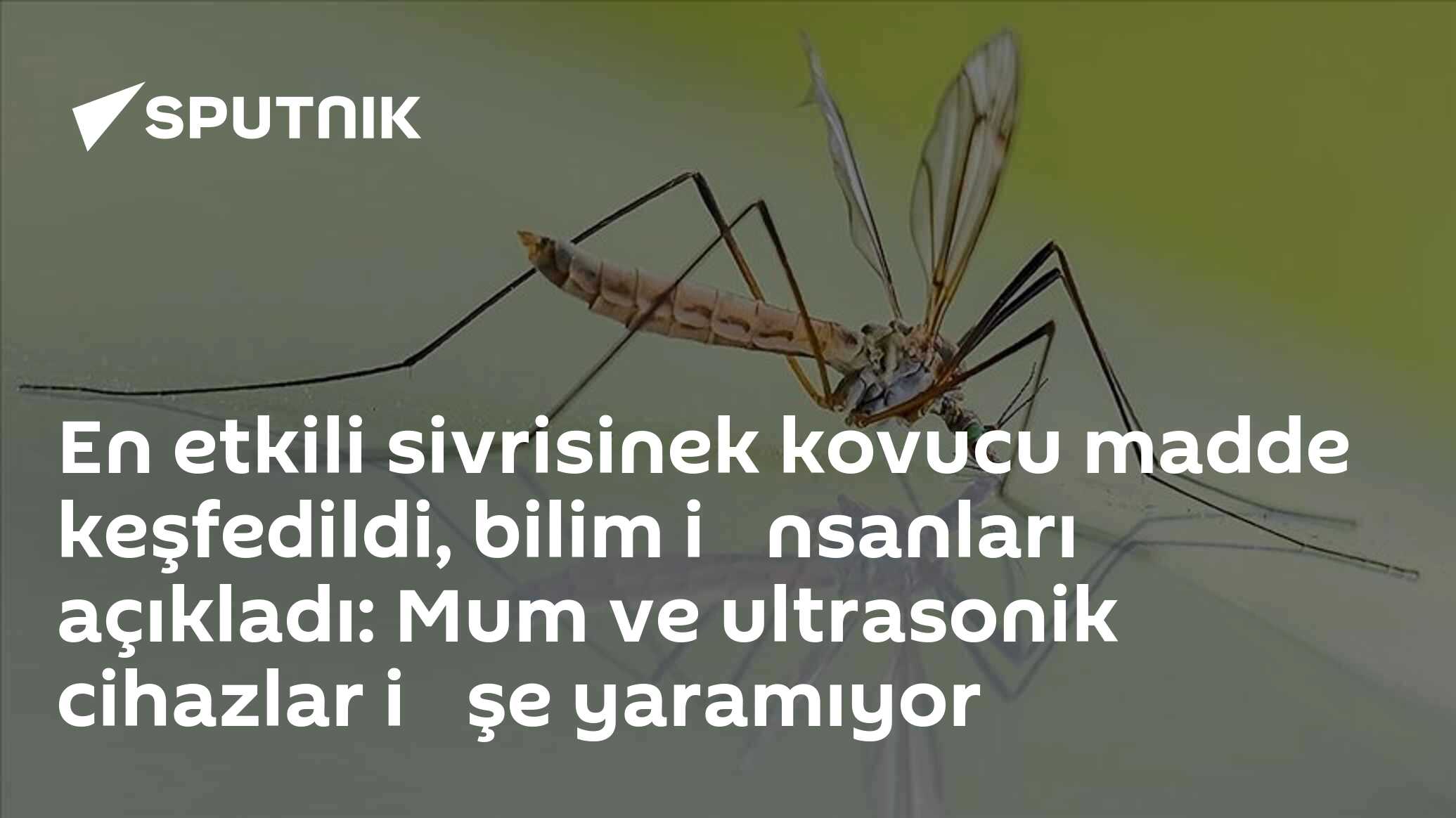 En etkili sivrisinek kovucu madde keşfedildi, bilim i̇nsanla