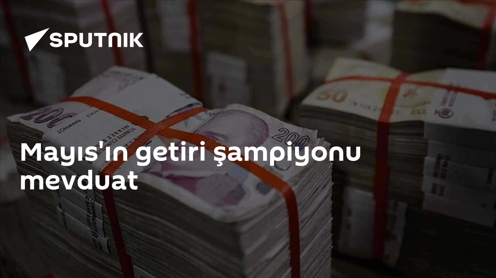 Mayıs'ın getiri şampiyonu mevduat