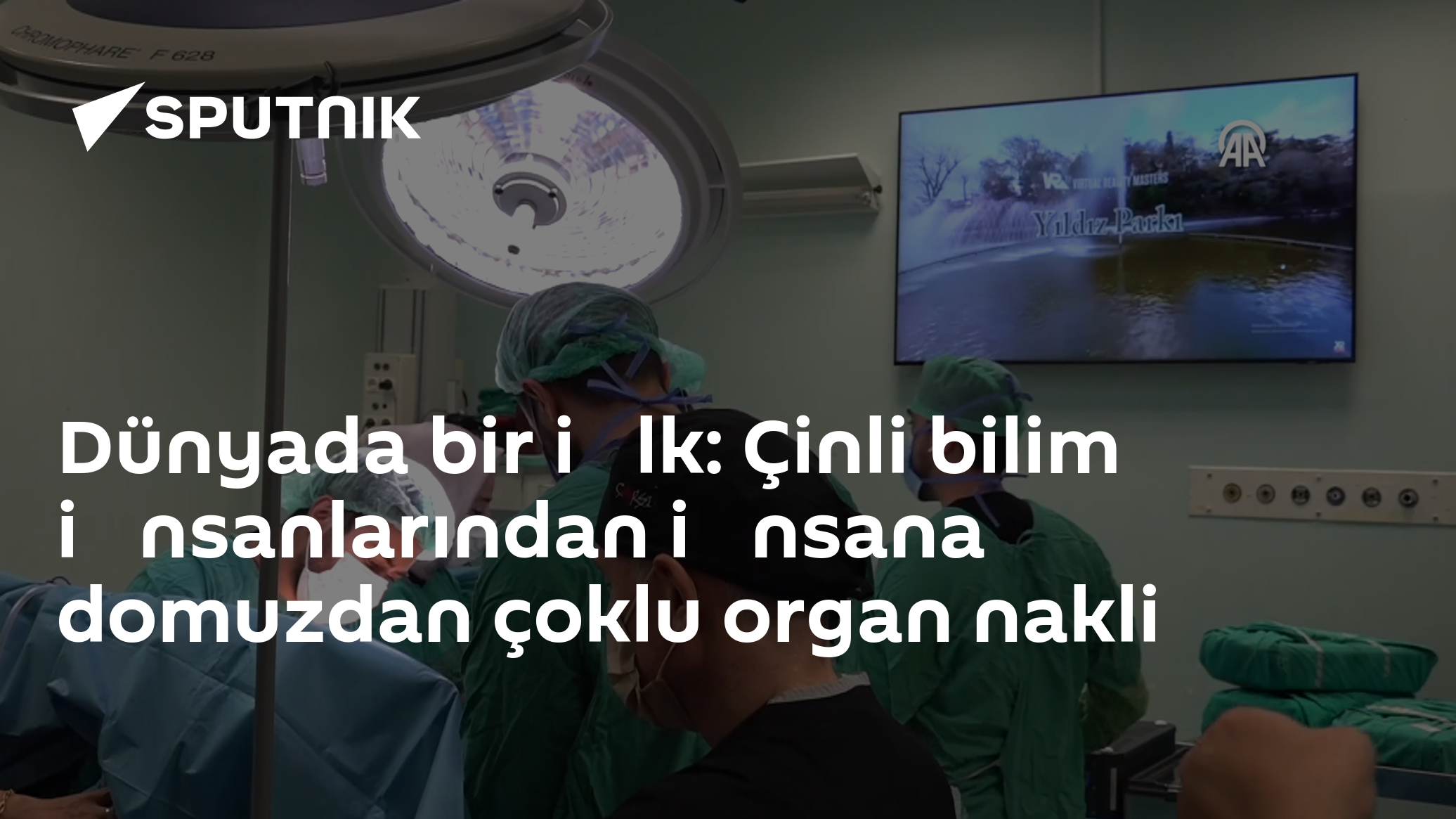 Dünyada bir i̇lk: Çinli bilim i̇nsanlarından i̇nsana domuzda