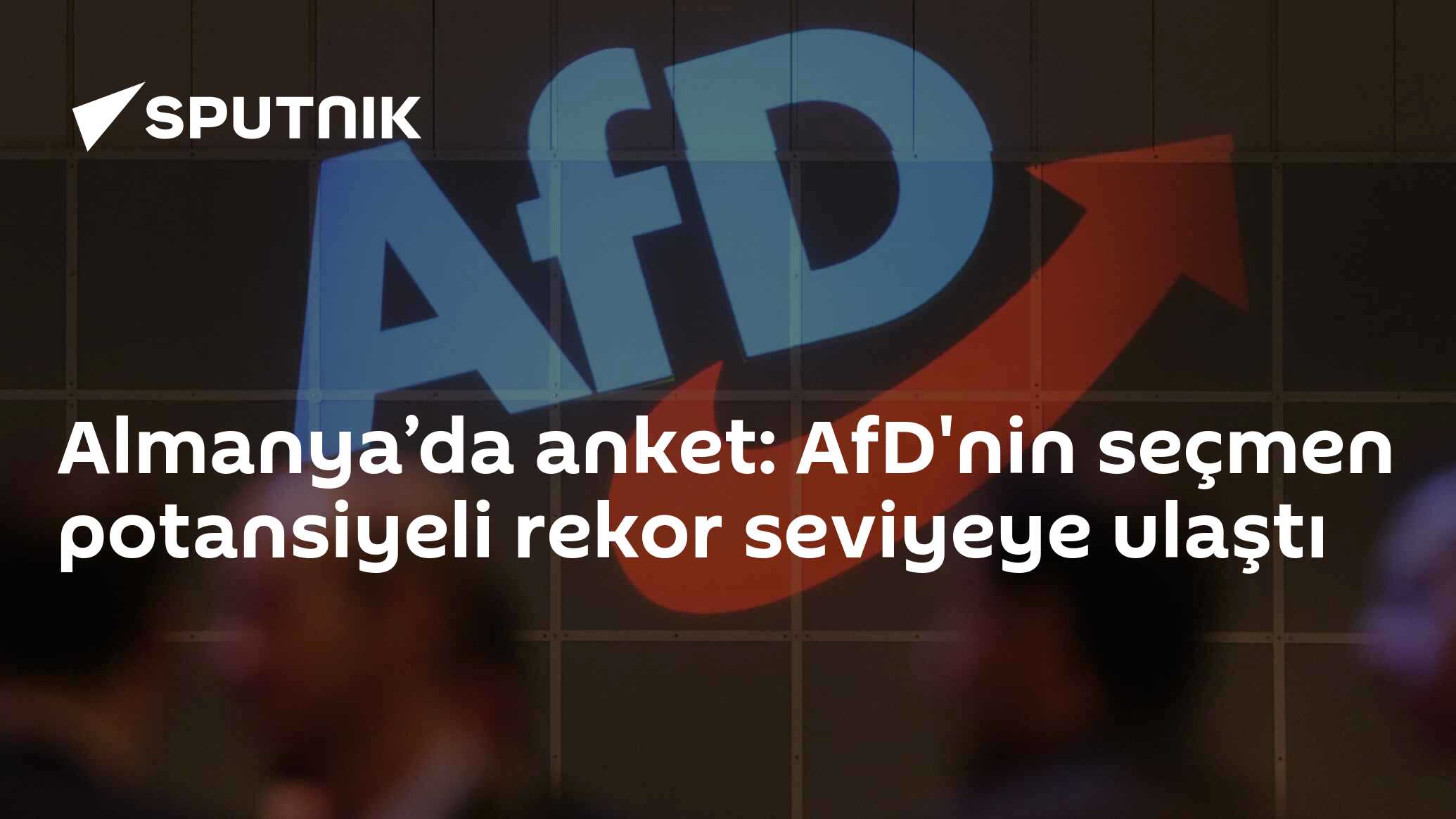 Almanya’da anket: AfD'nin seçmen potansiyeli rekor seviyeye 