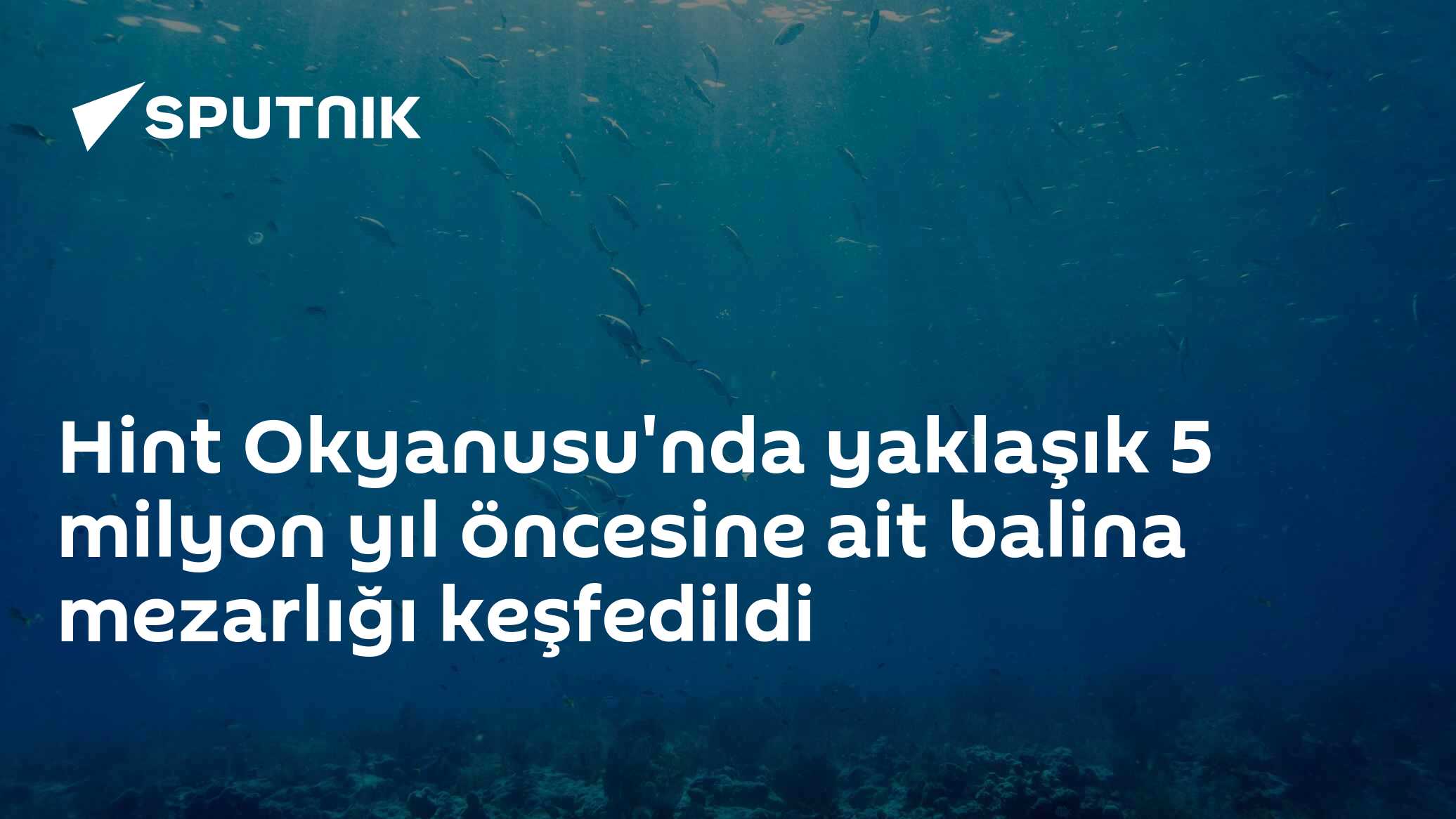 Hint Okyanusu'nda yaklaşık 5 milyon yıl öncesine ait balina 