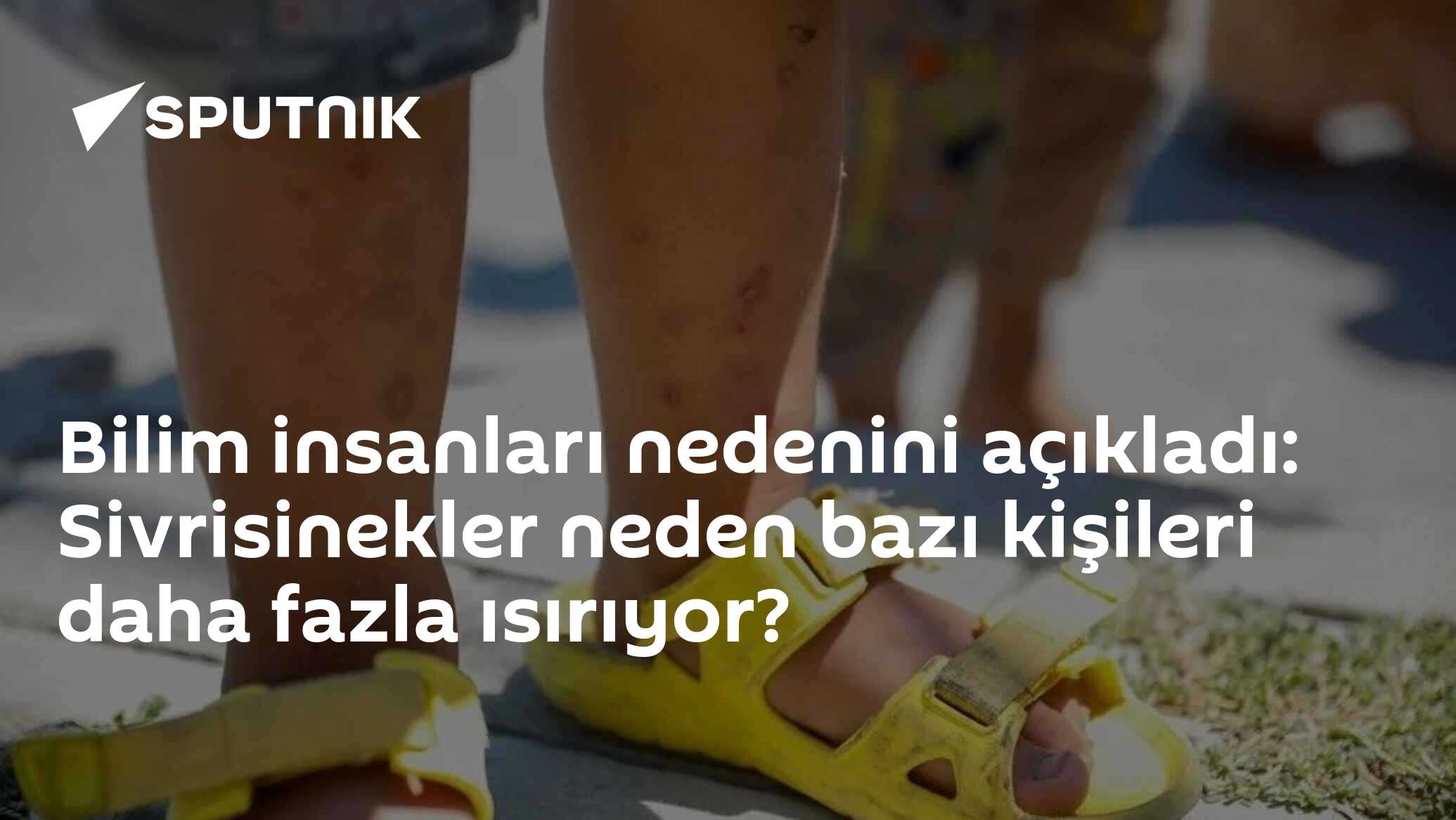 Bilim insanları nedenini açıkladı: Sivrisinekler neden bazı kişileri daha fazla ısırıyor?
