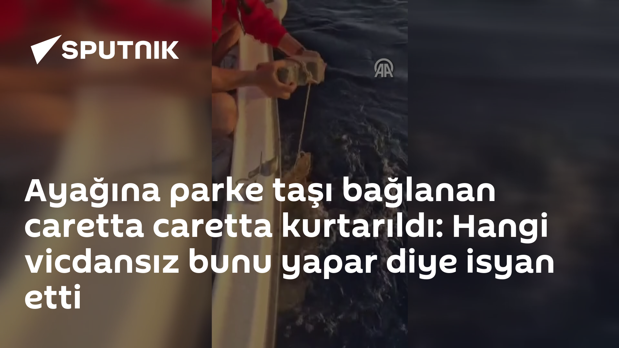 Ayağına parke taşı bağlanan caretta caretta kurtarıldı: Hangi vicdansız bunu yapar diye isyan etti