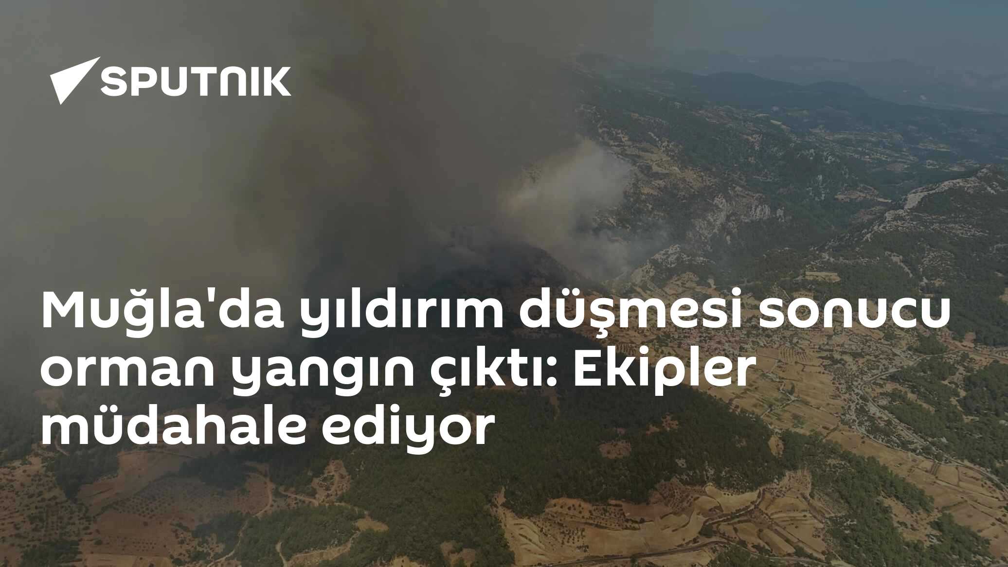 Muğla'da yıldırım düşmesi sonucu orman yangın çıktı: Ekipler müdahale ediyor