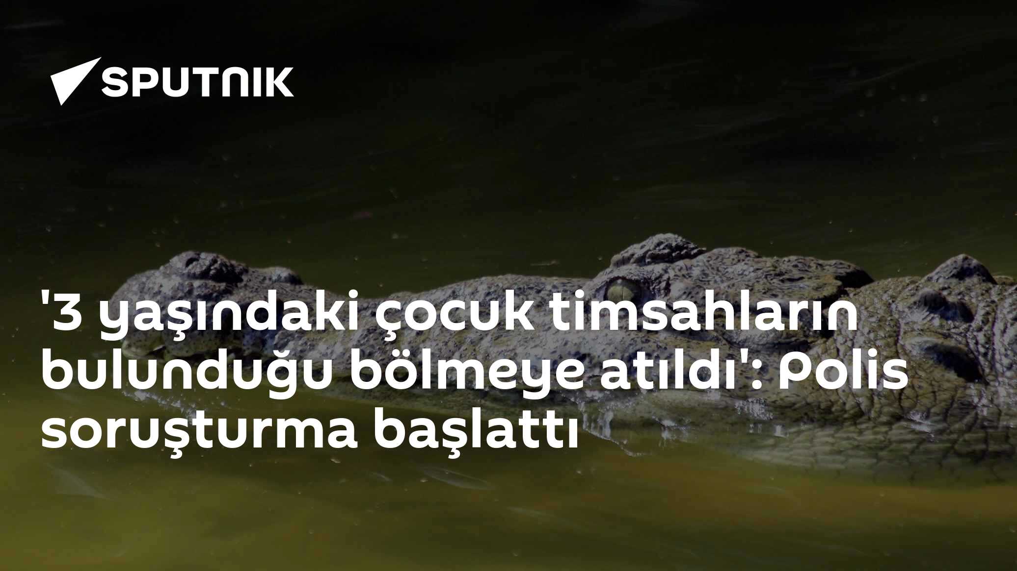 '3 yaşındaki çocuk timsahların bulunduğu bölmeye atıldı': Polis soruşturma başlattı