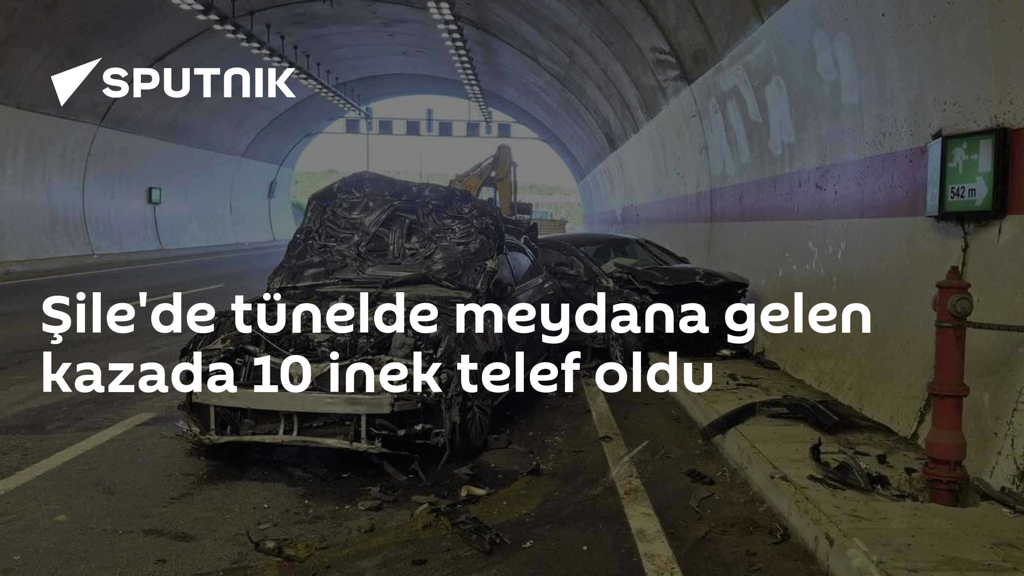 Şile'de tünelde meydana gelen kazada 10 inek telef oldu