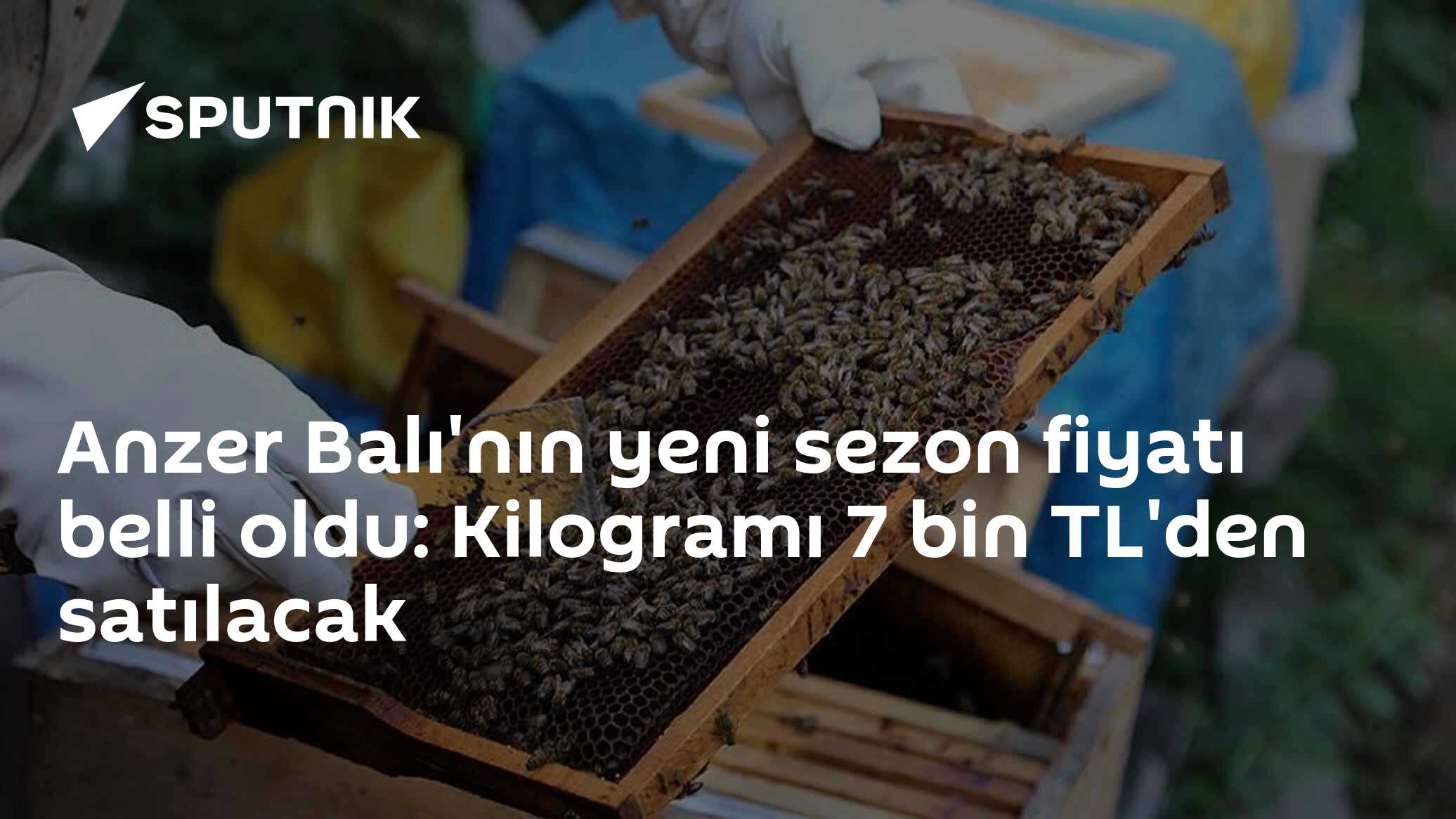 Anzer Balı'nın yeni sezon fiyatı belli oldu: Kilogramı 7 bin TL'den satılacak