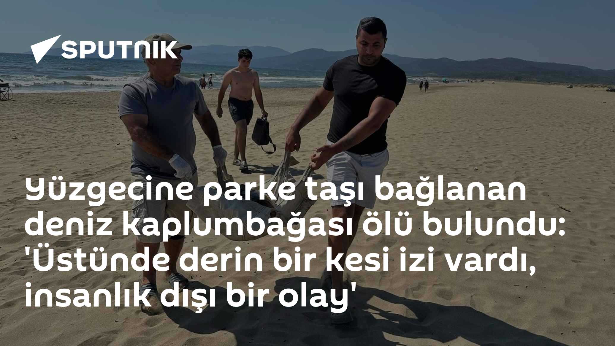 Yüzgecine parke taşı bağlanan deniz kaplumbağası ölü bulundu: 'Üstünde derin bir kesi izi vardı, insanlık dışı bir olay'
