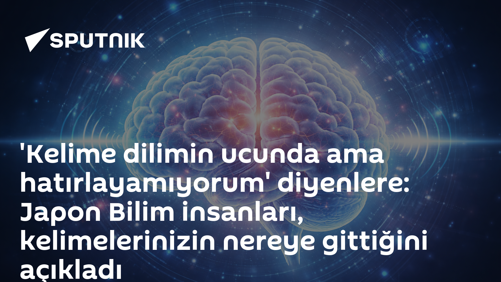 'Kelime dilimin ucunda ama hatırlayamıyorum' diyenlere: Japon Bilim insanları, kelimelerinizin nereye gittiğini açıkladı