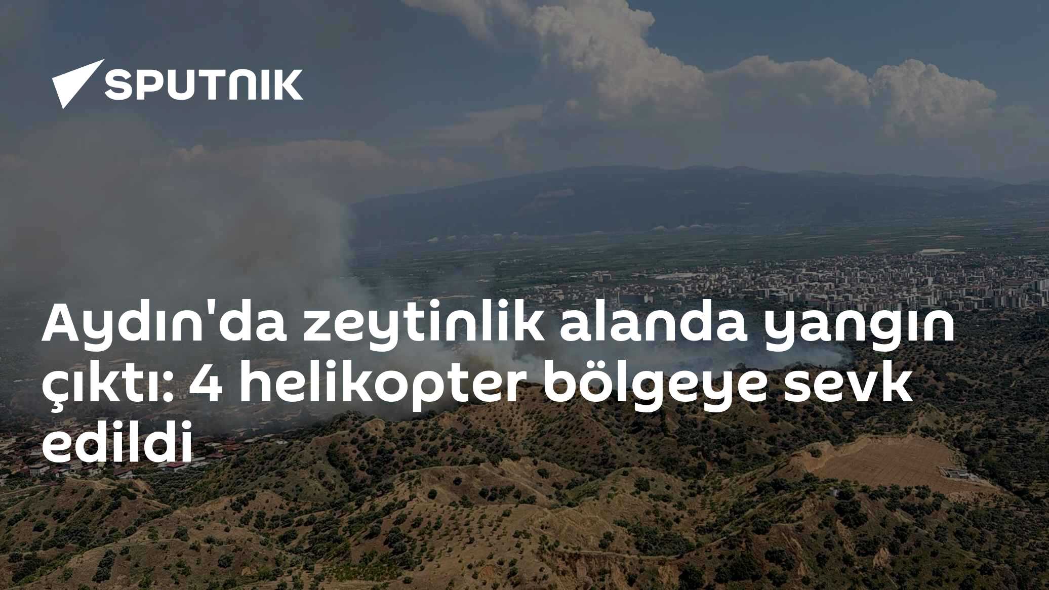 Aydın'da zeytinlik alanda yangın çıktı: 4 helikopter bölgeye sevk edildi