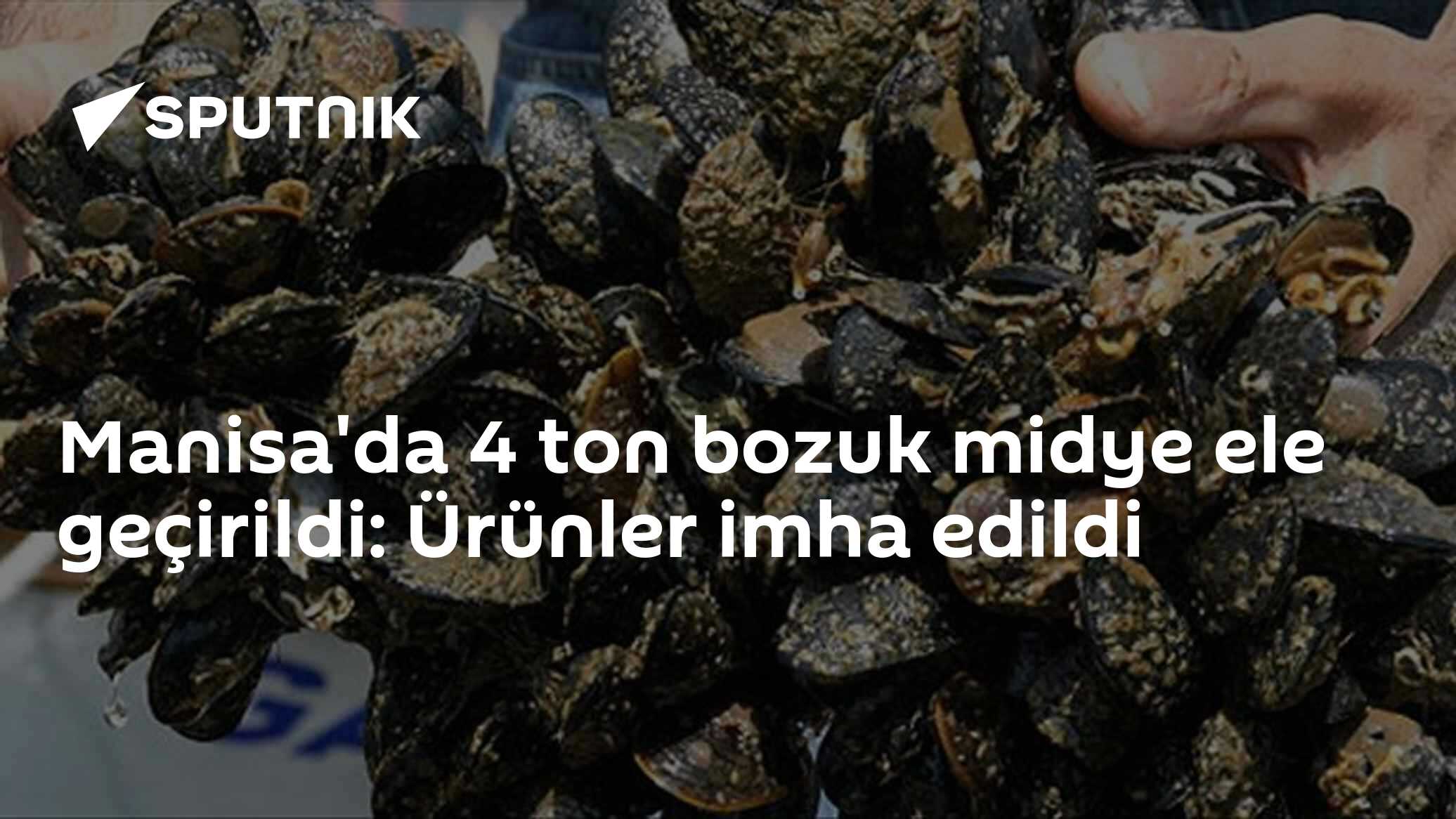 Manisa'da 4 ton bozuk midye ele geçirildi: Ürünler imha edildi