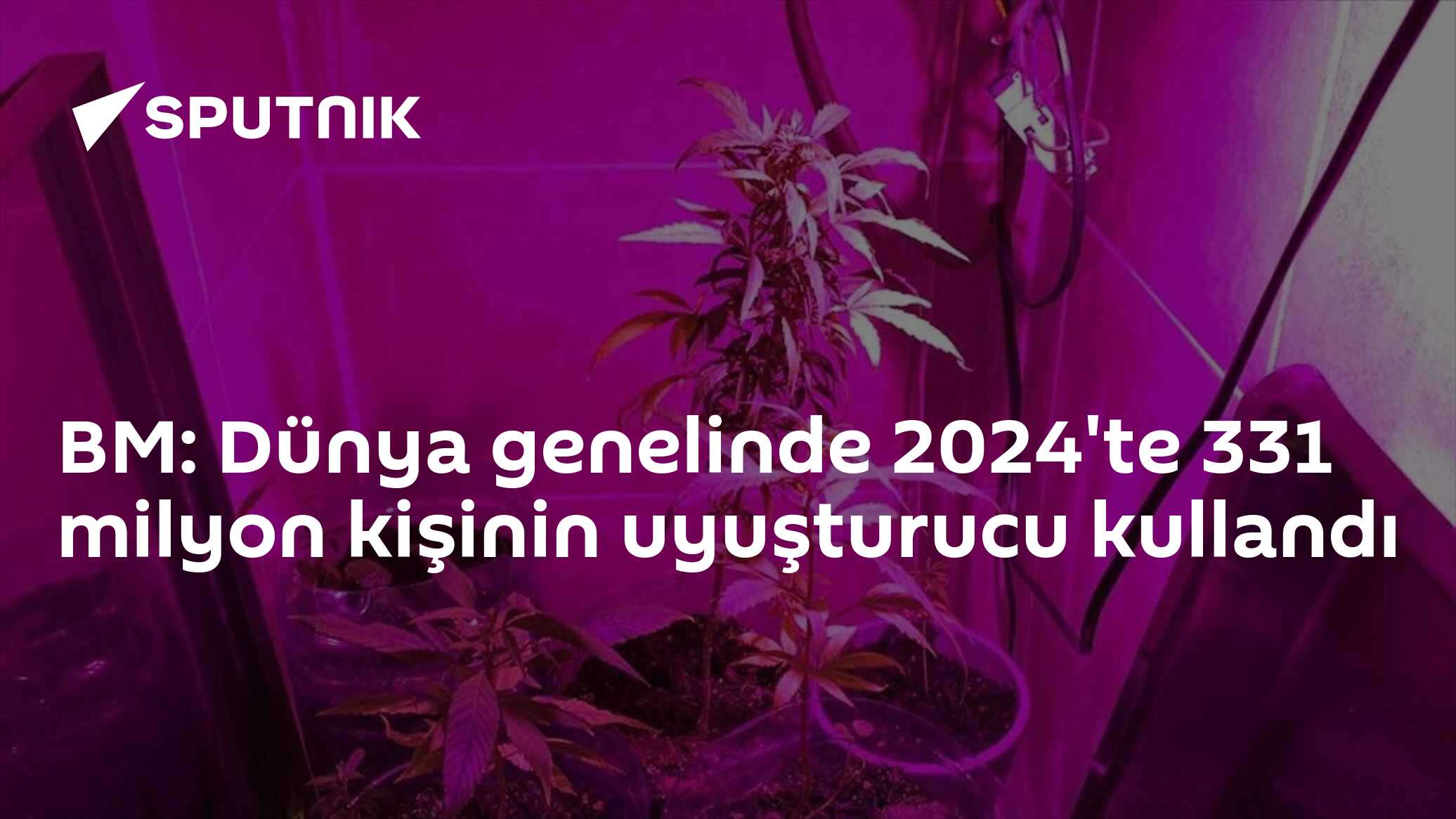 BM: Dünya genelinde 2024'te 331 milyon kişinin uyuşturucu kullandı