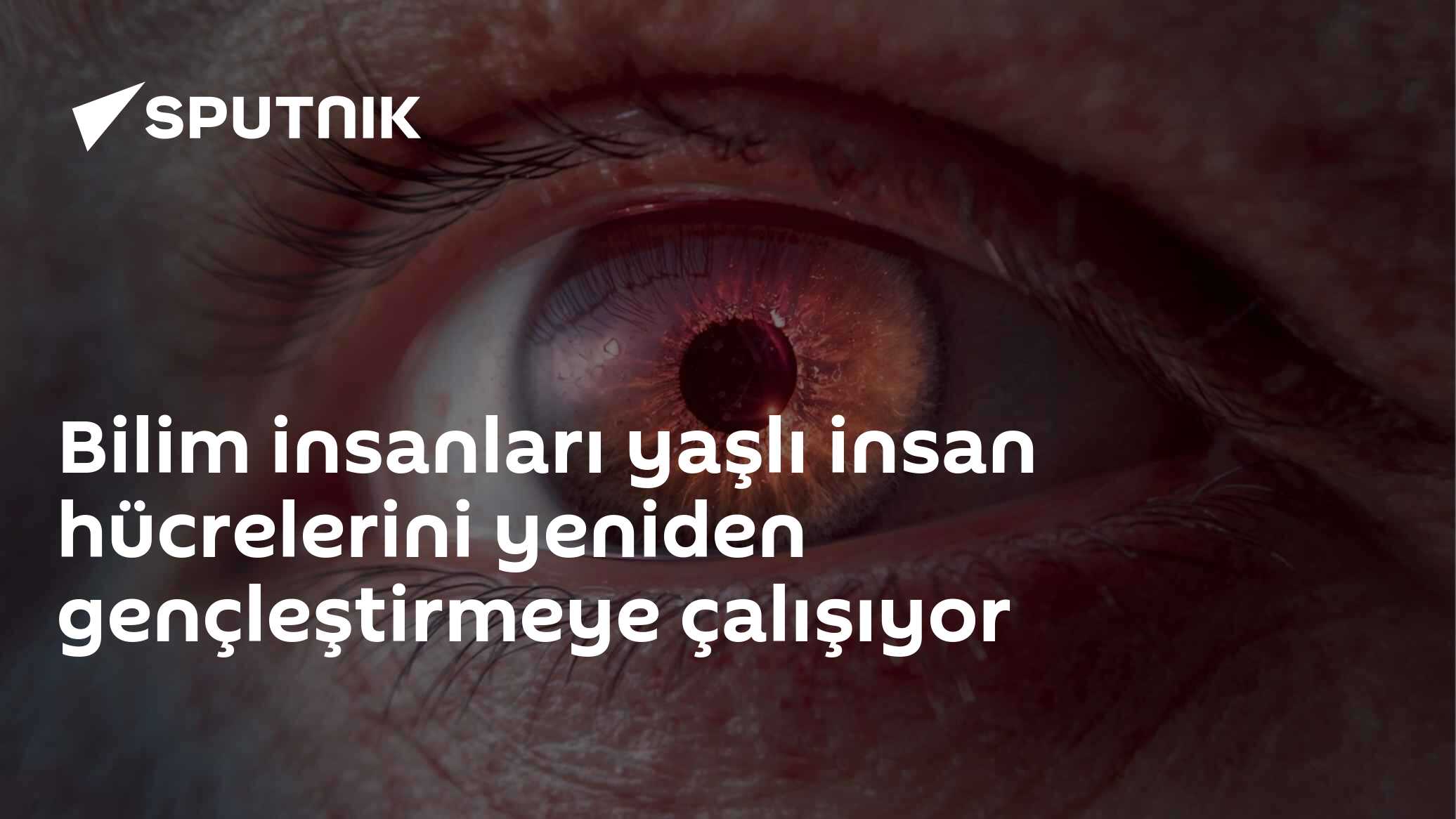 Bilim insanları yaşlı insan hücrelerini yeniden gençleştirmeye çalışıyor