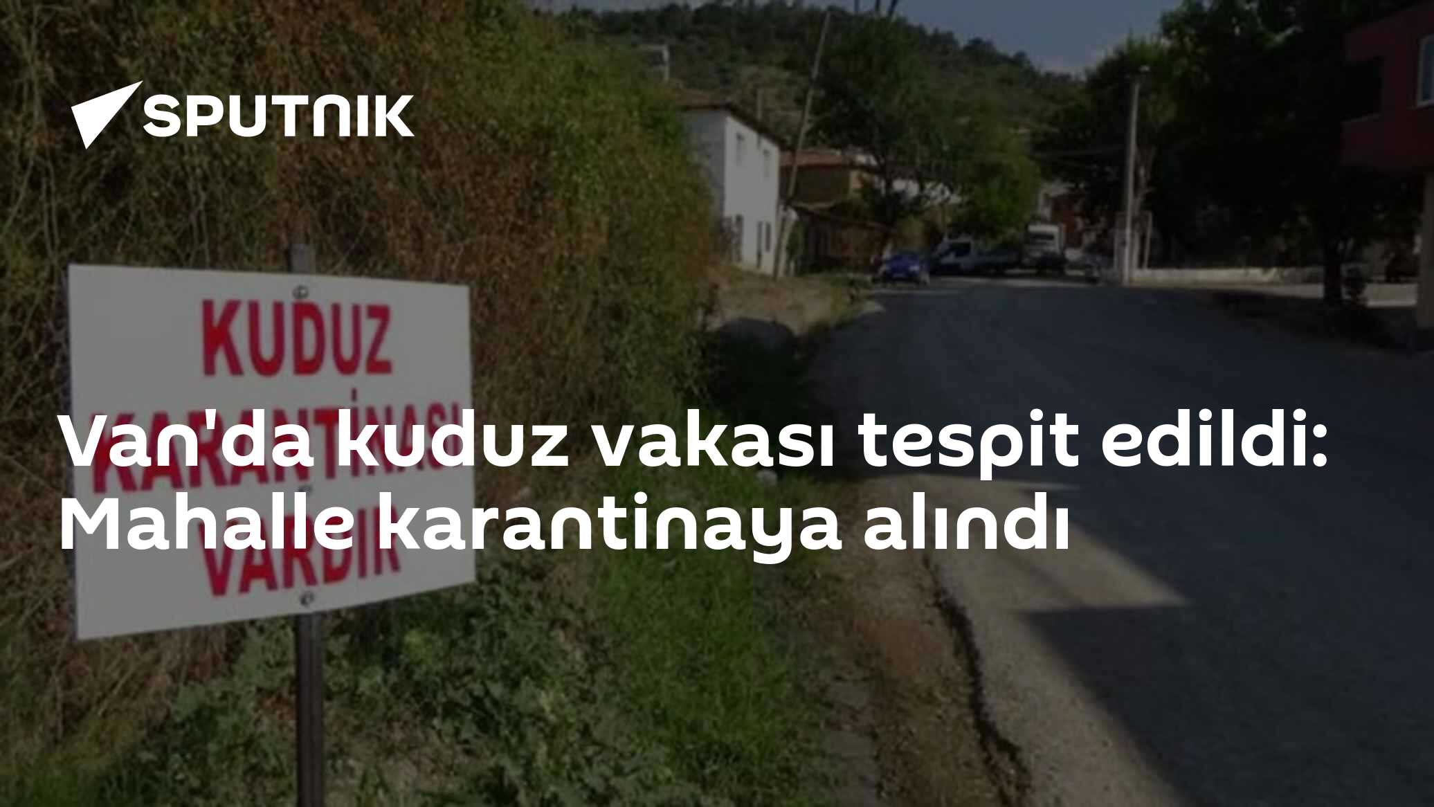 Van'da kuduz vakası tespit edildi: Mahalle karantinaya alındı