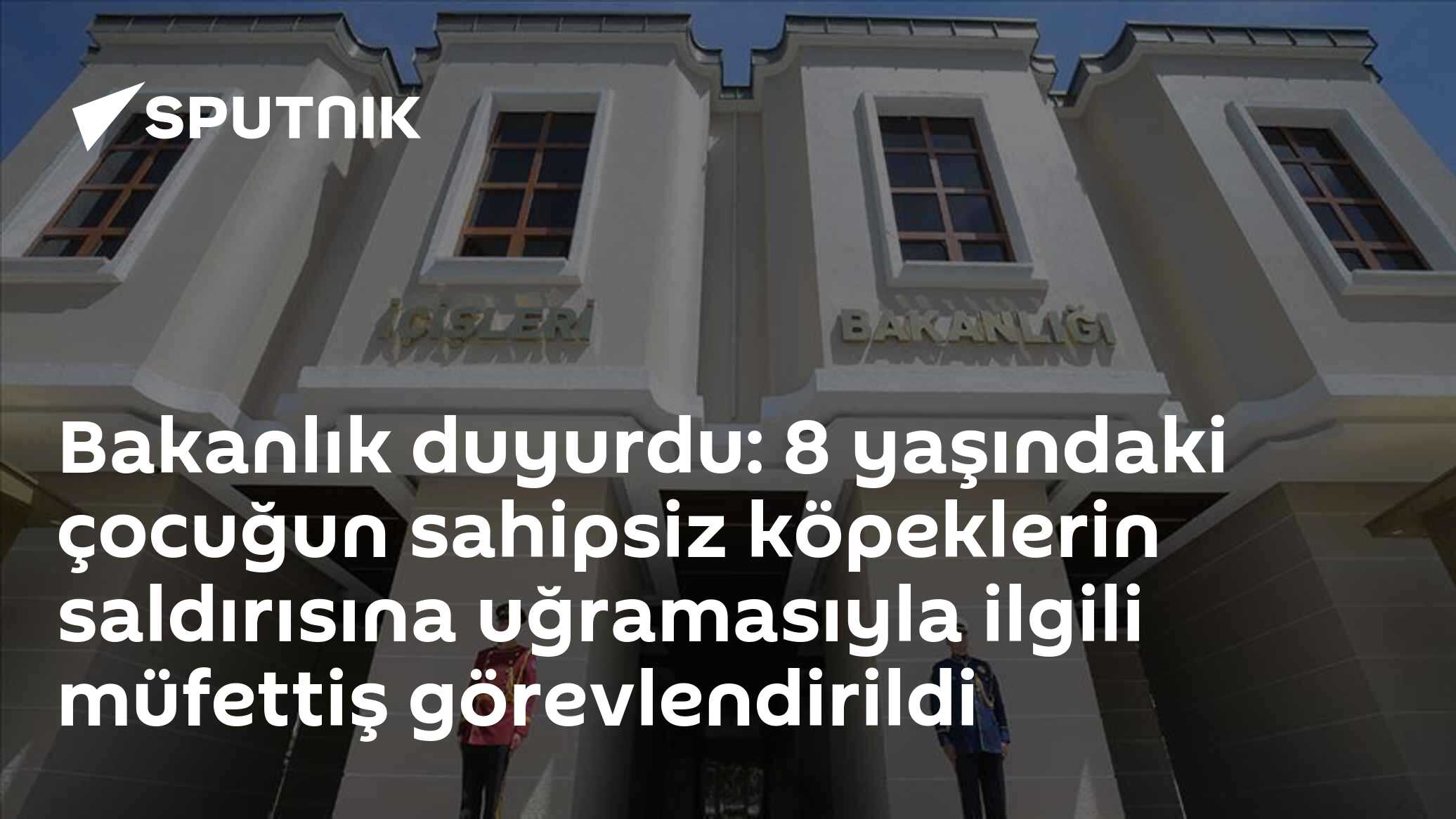 Bakanlık duyurdu: 8 yaşındaki çocuğun sahipsiz köpeklerin saldırısına uğramasıyla ilgili müfettiş görevlendirildi