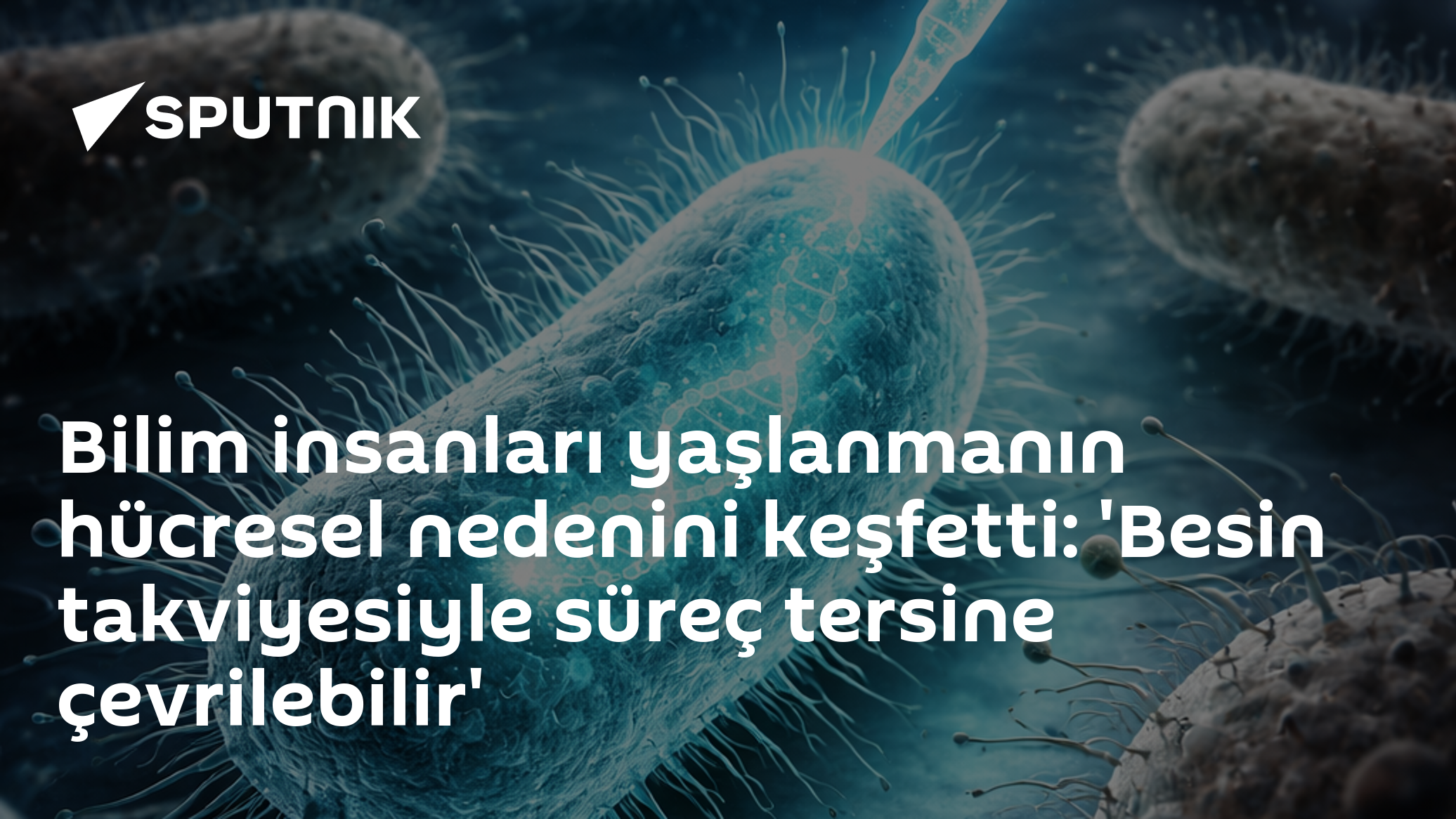 Bilim insanları yaşlanmanın hücresel nedenini keşfetti: 'Besin takviyesiyle süreç tersine çevrilebilir'