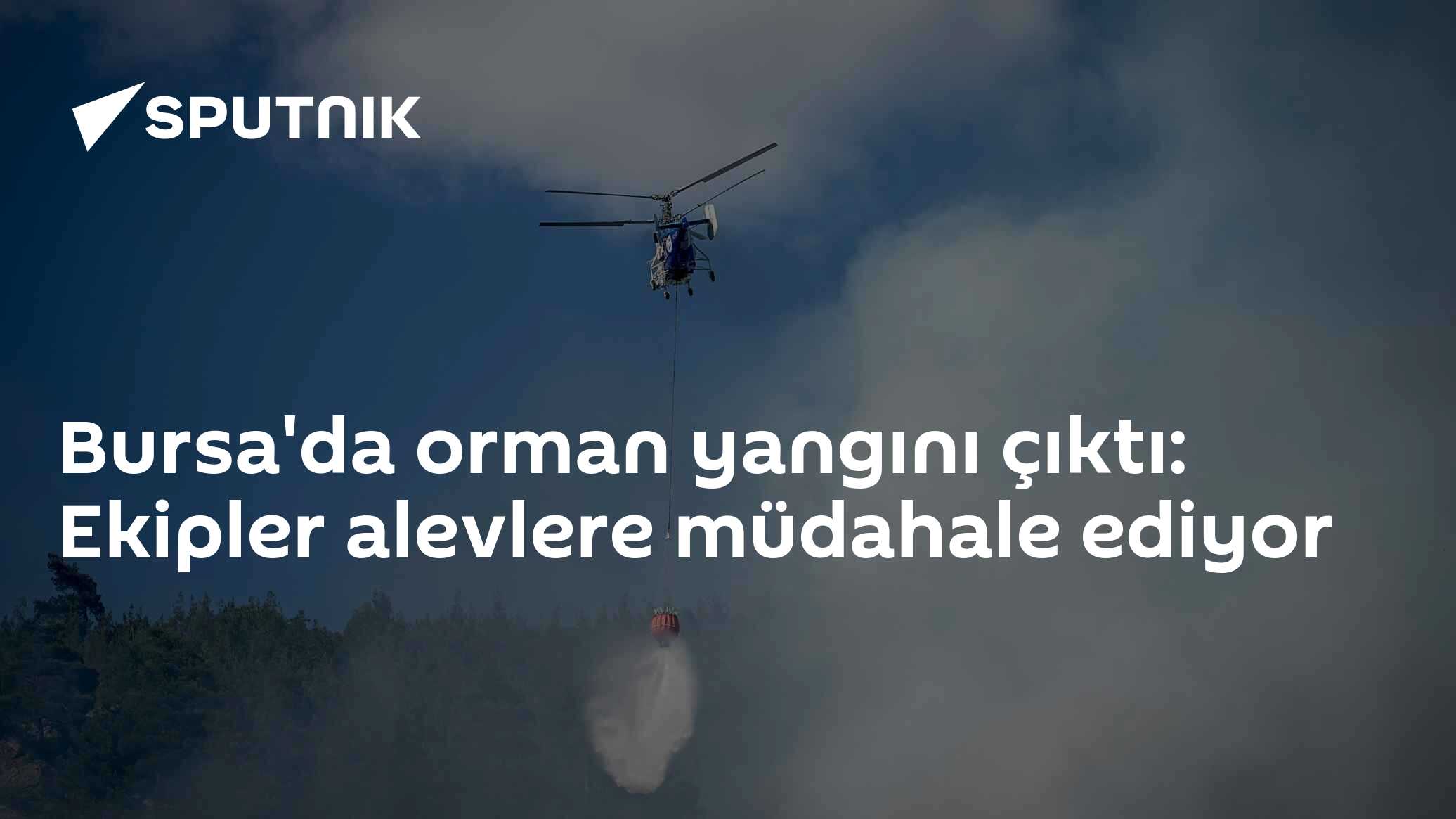 Bursa'da orman yangını çıktı: Ekipler alevlere müdahale ediyor