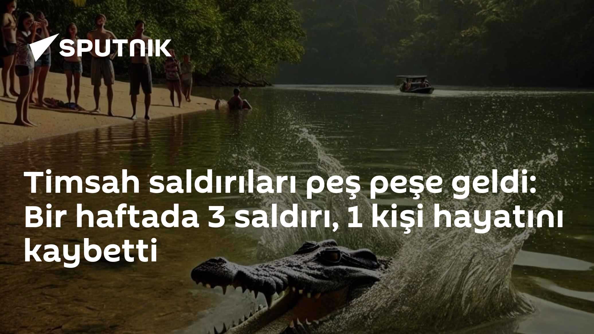 Timsah saldırıları peş peşe geldi: Bir haftada 3 saldırı, 1 kişi hayatını kaybetti