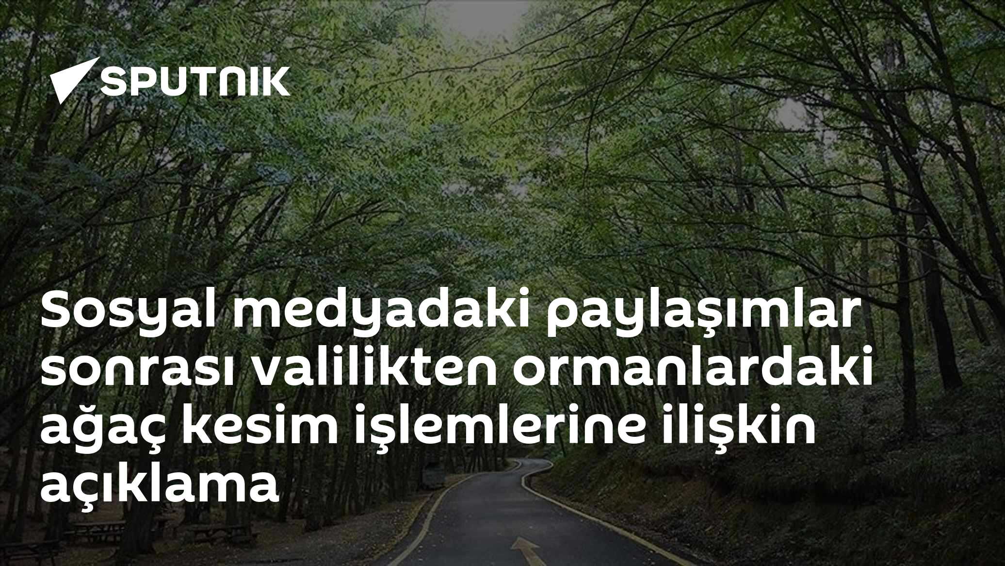 Valilikten ormanlardaki ağaç kesimlerine açıklama