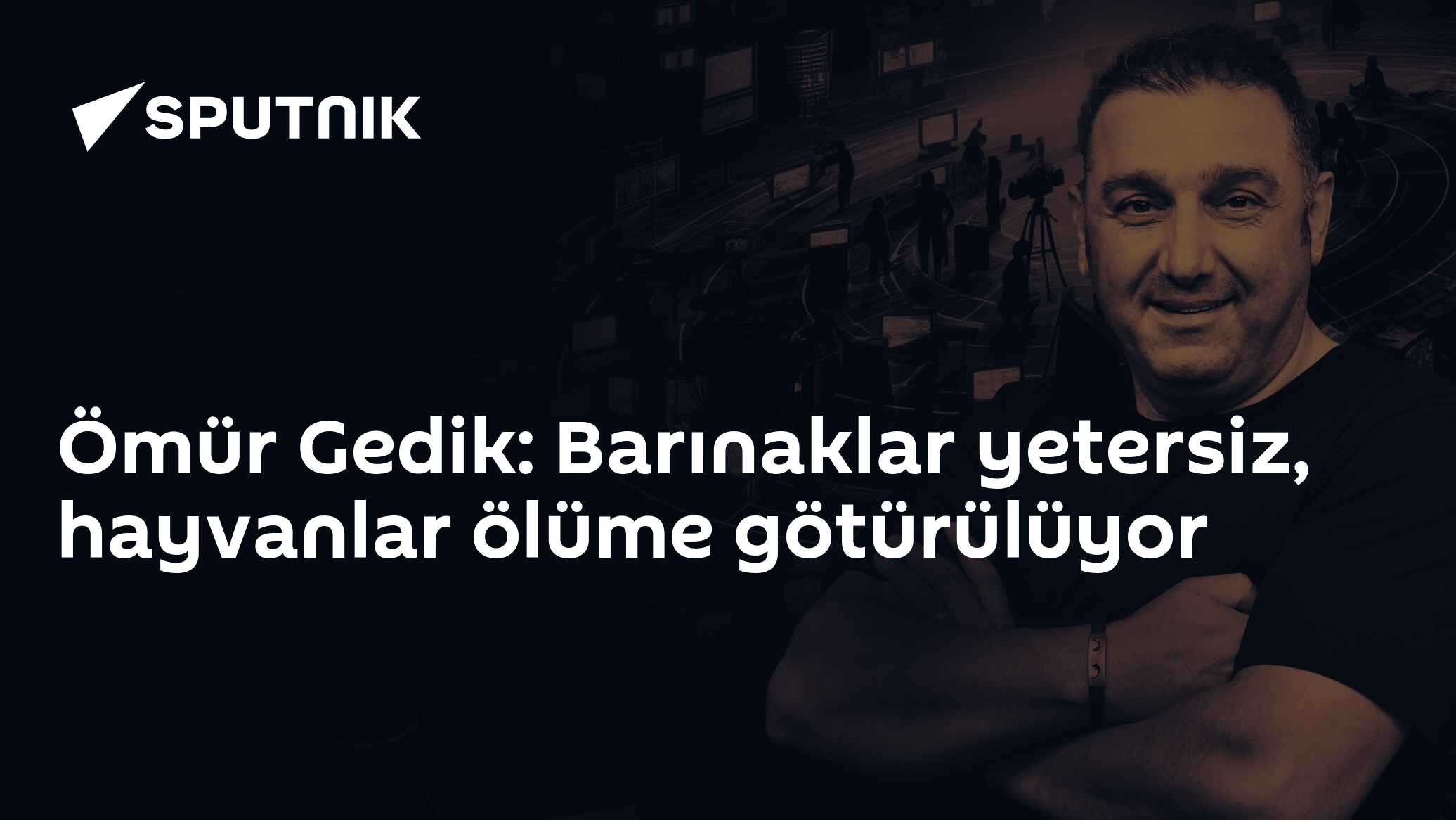 Ömür Gedik: Barınaklar yetersiz, hayvanlar ölüme götürülüyor