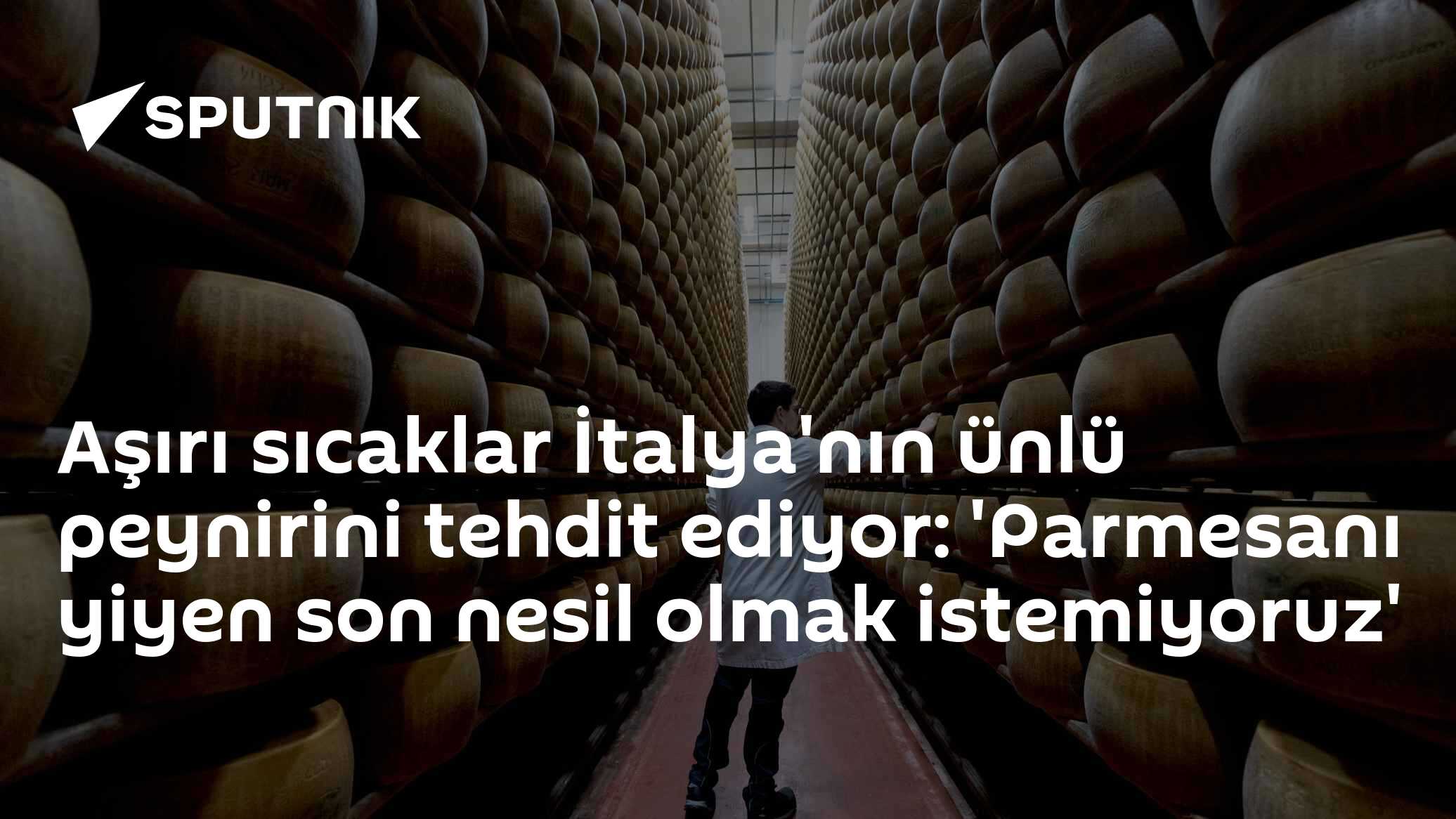 Aşırı sıcaklar İtalya'nın ünlü peynirini tehdit ediyor: 'Parmesanı yiyen son nesil olmak istemiyoruz'