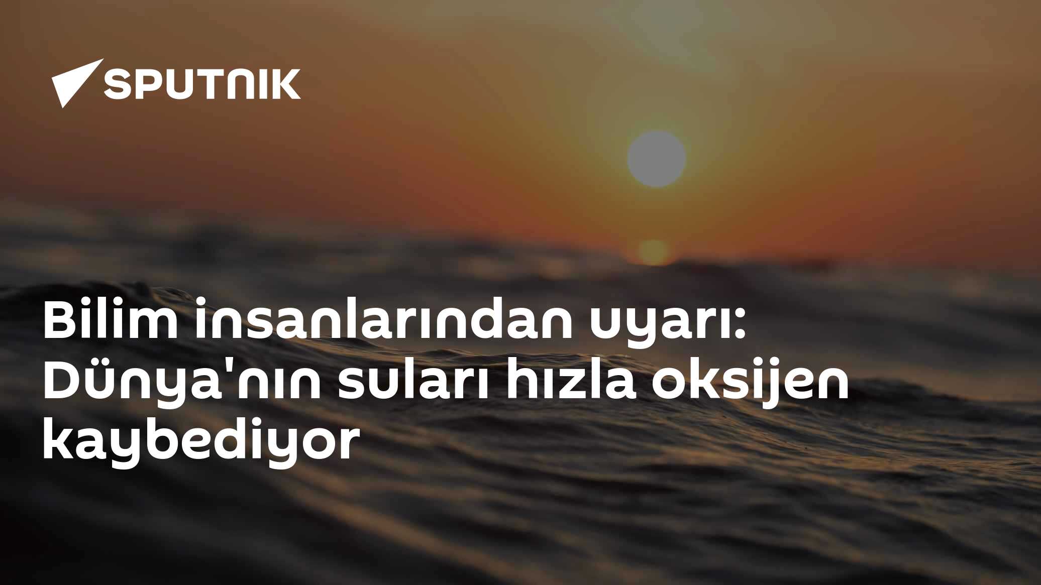 Bilim insanlarından uyarı: Dünya'nın suları hızla oksijen kaybediyor