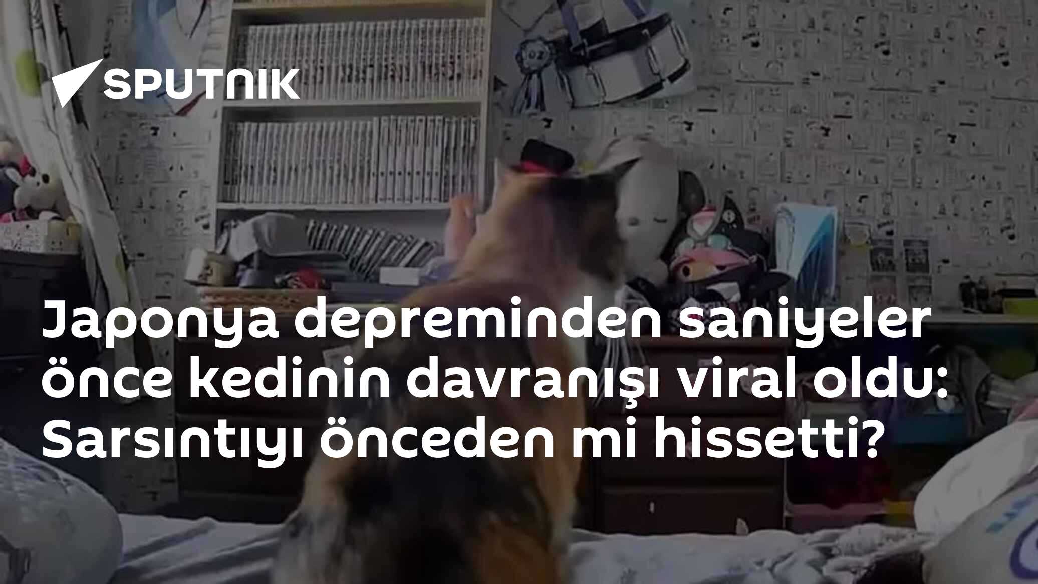 Japonya depreminden saniyeler önce kedinin davranışı viral oldu: Sarsıntıyı önceden mi hissetti?