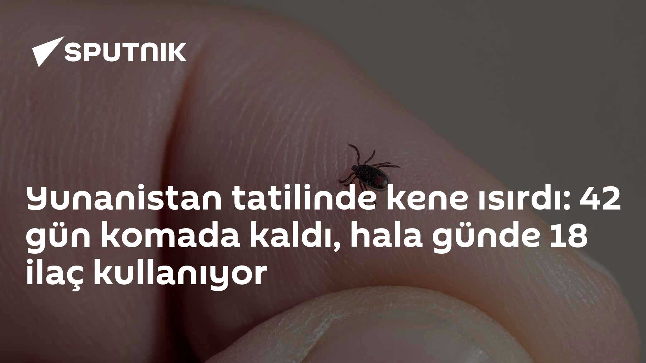 Yunanistan tatilinde kene ısırdı: 42 gün komada kaldı, hala günde 18 ilaç kullanıyor
