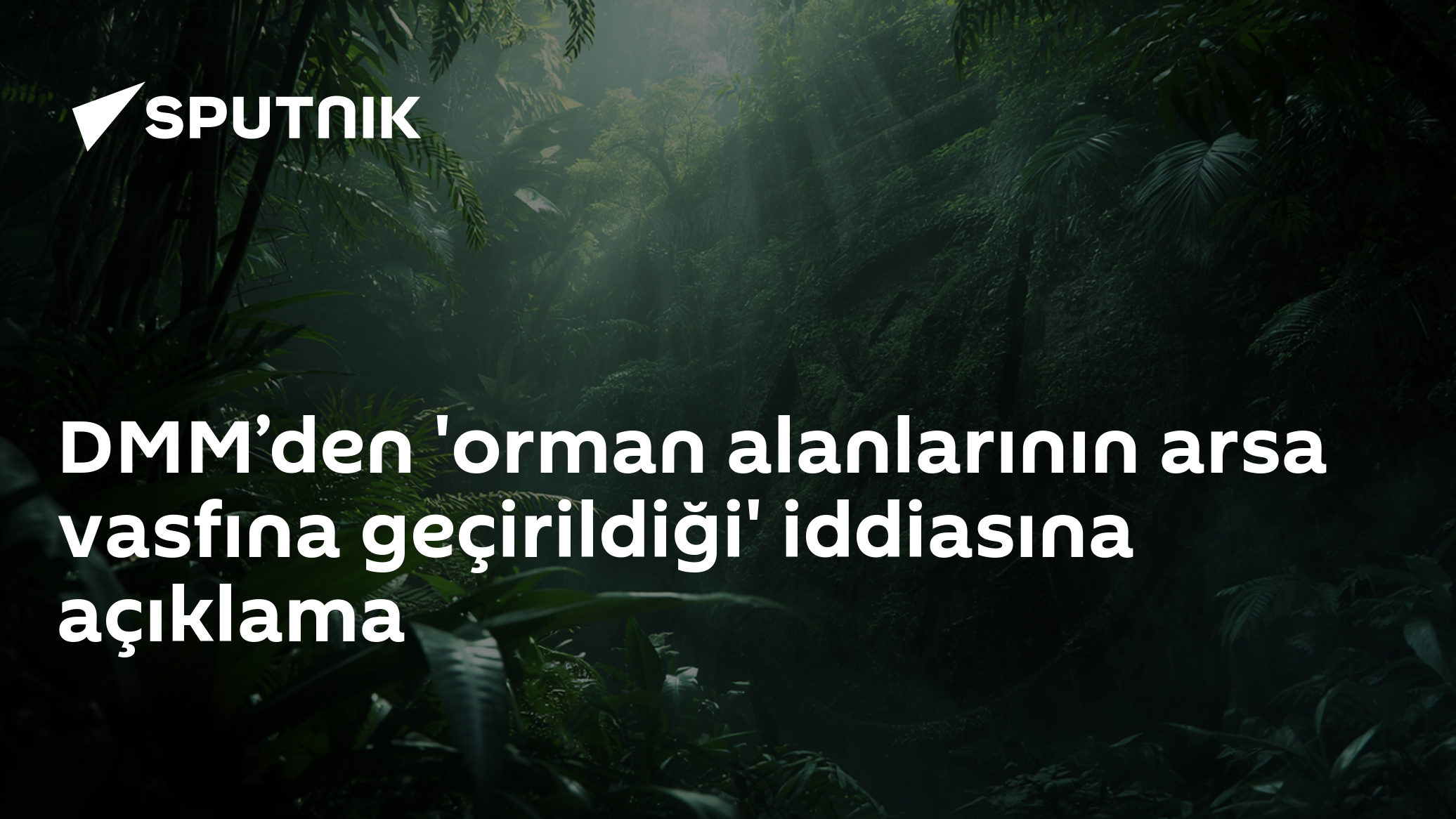 DMM’den 'orman alanlarının arsa vasfına geçirildiği' iddiasına açıklama