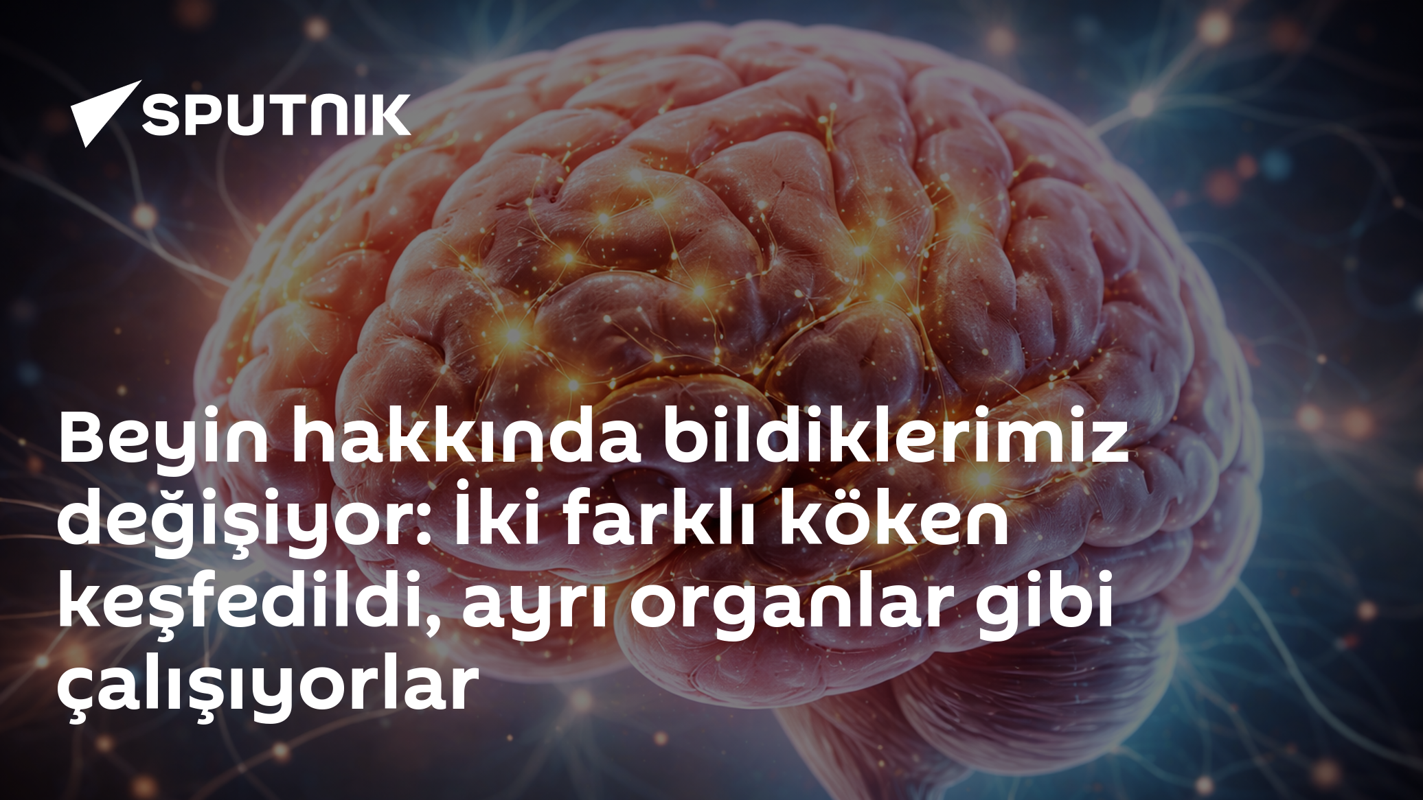 Beyin hakkında bildiklerimiz değişiyor: İki farklı köken keşfedildi, ayrı organlar gibi çalışıyorlar
