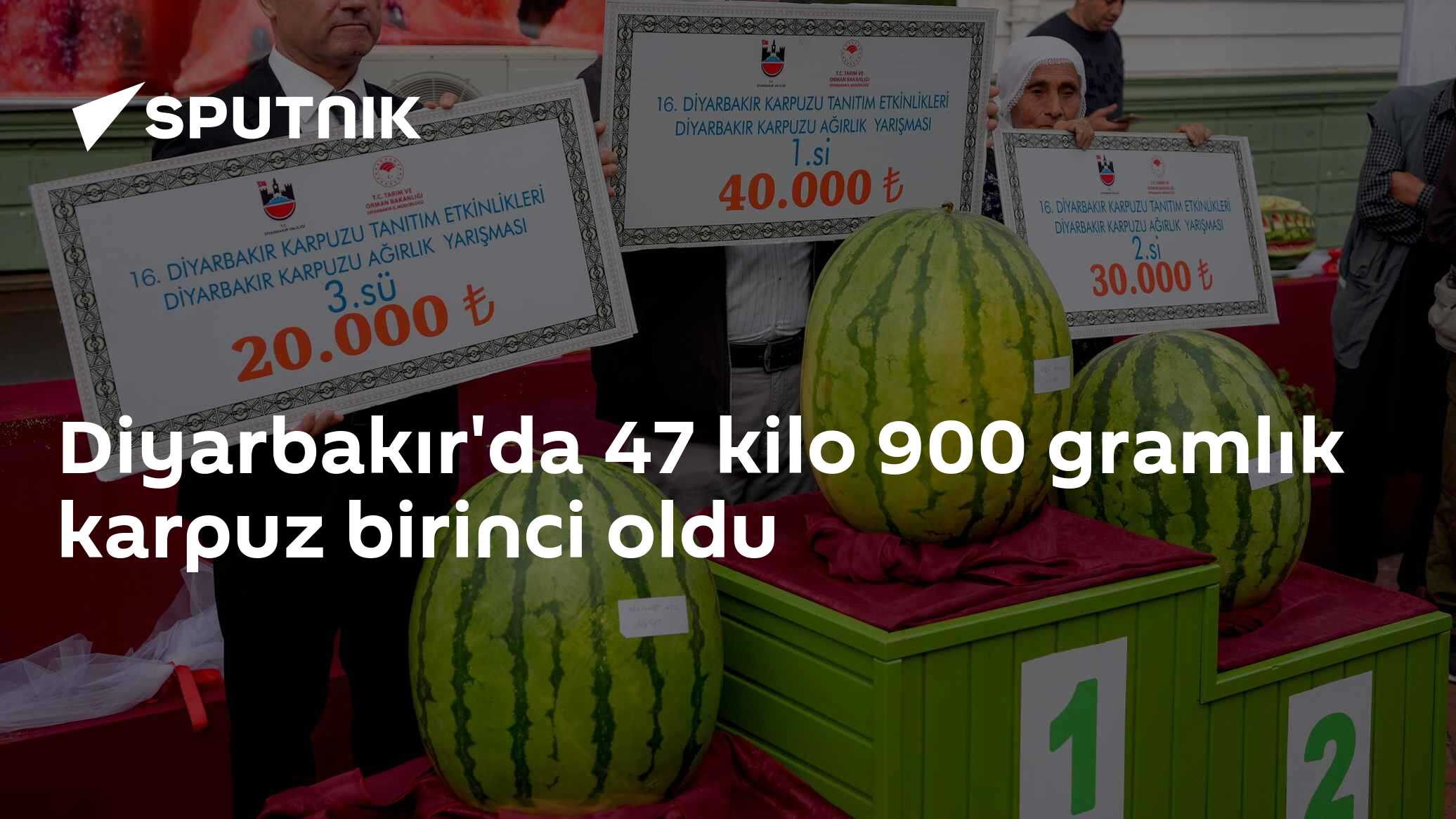 Diyarbakır'da 47 kilo 900 gramlık karpuz birinci oldu