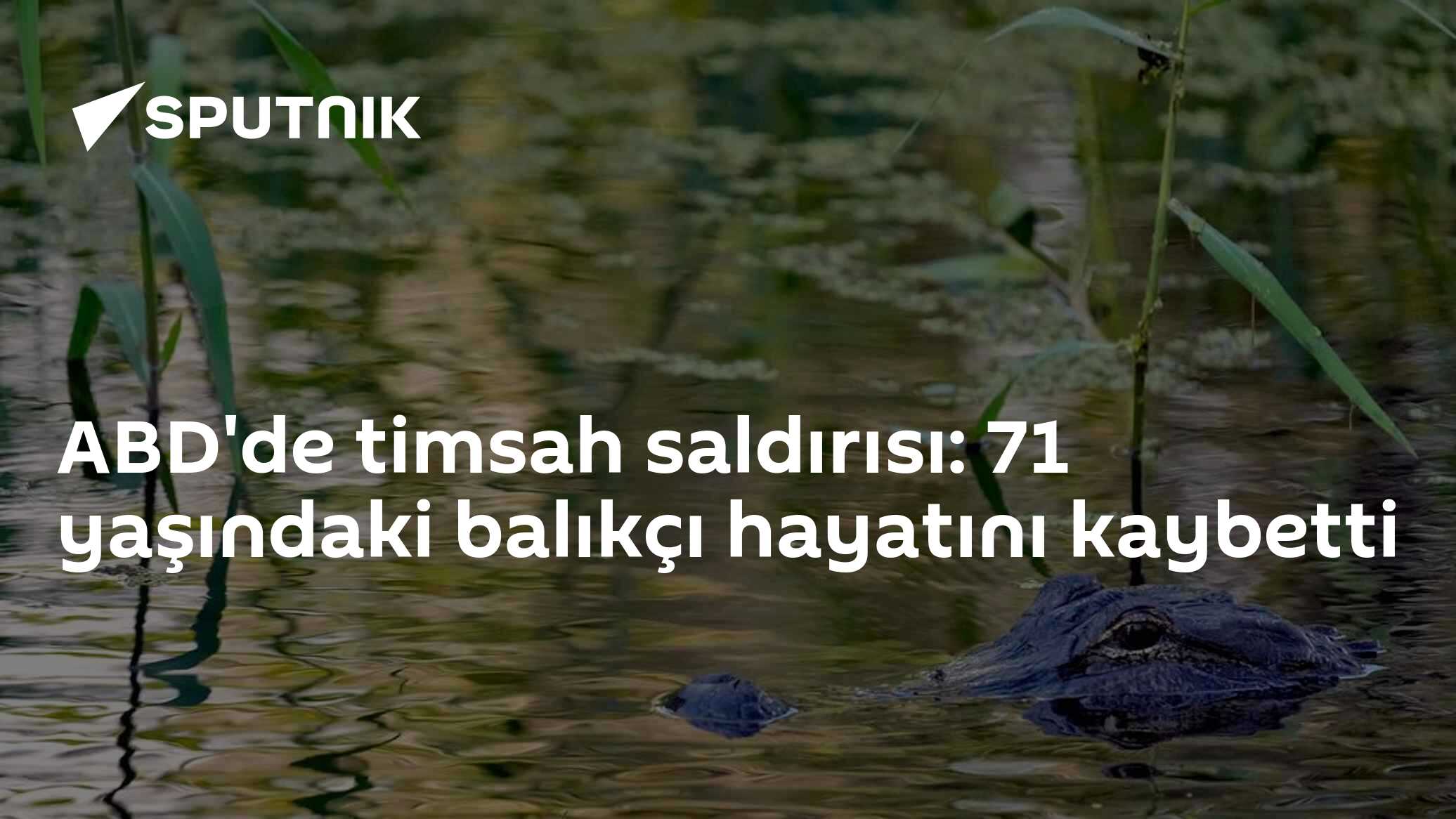 Florida'da Timsah Saldırısı: 71 Yaşındaki Balıkçı Hayatını Kaybetti