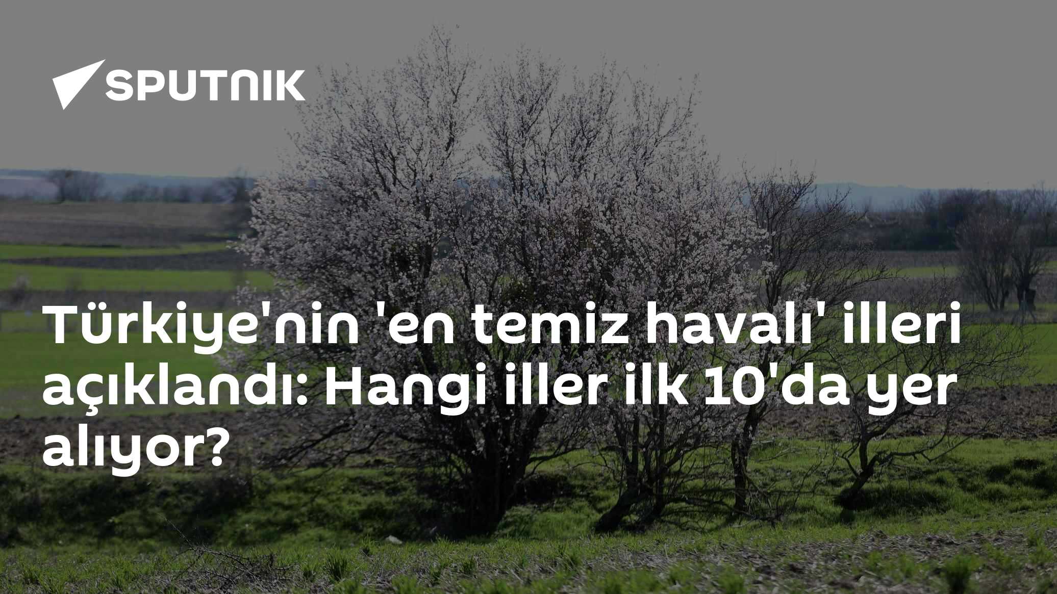 Türkiye'nin 'en temiz havalı' illeri açıklandı: Hangi iller ilk 10'da yer alıyor?