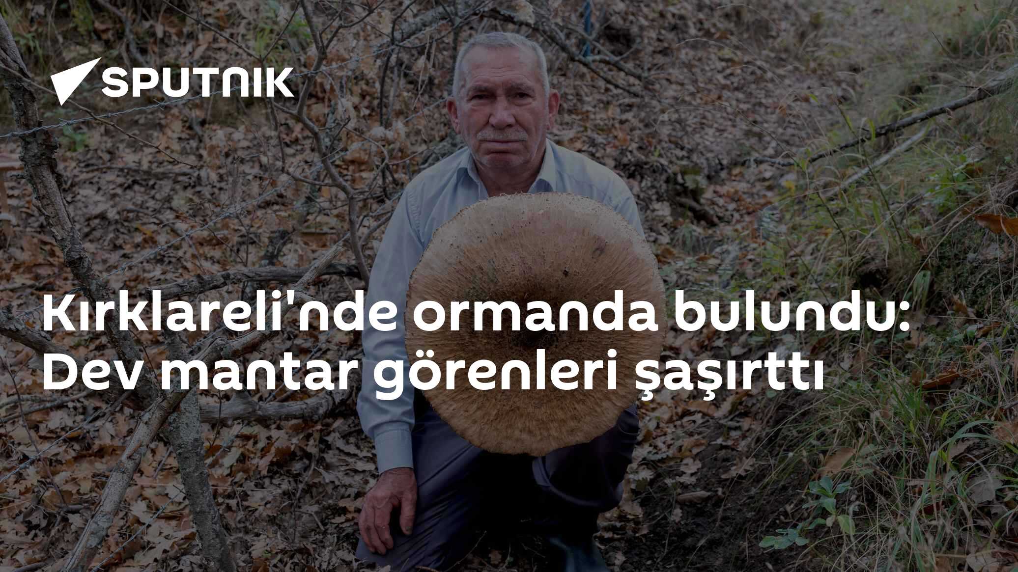 Kırklareli'nde ormanda bulundu: Dev mantar görenleri şaşırttı