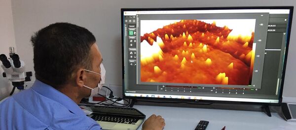 Koronavirüs ilk defa 3 boyutlu görüntülendi - Sputnik Türkiye