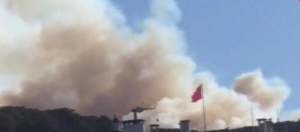 Heybeliada'da orman yangını - Sputnik Türkiye