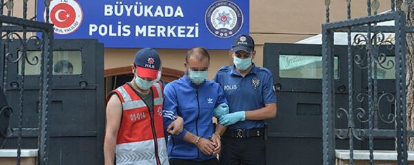 Heybeliada, yangın, Sedat D. Heybeliada, yangın, Sedat D. - Sputnik Türkiye