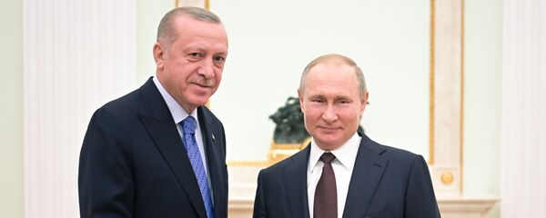 Recep Tayyip Erdoğan-Vladimir Putin  - Sputnik Türkiye