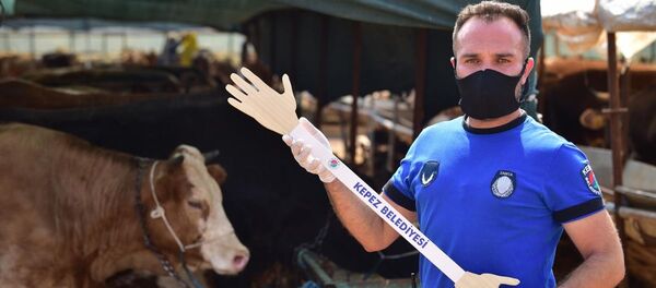 Pazarlık kiti - Sputnik Türkiye