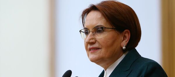 Meral Akşener - Sputnik Türkiye