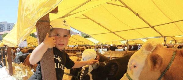 Kurban bayramı-İstanbul-hayvan pazarı Kurban bayramı-İstanbul-hayvan pazarı - Sputnik Türkiye
