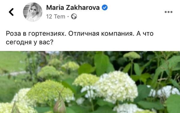 Türk takipçisi, Zaharova'yı dağ lalesine benzetti - Sputnik Türkiye