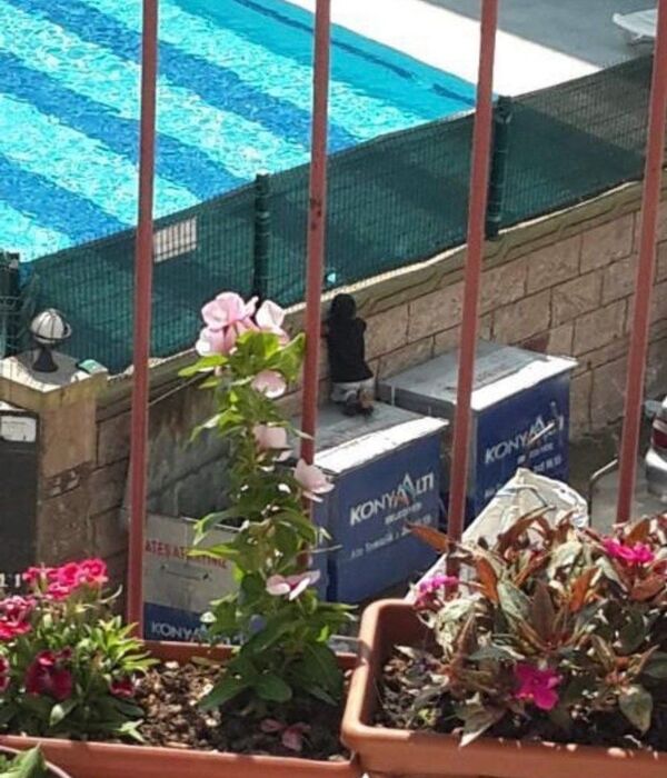 Çöp konteyneri üzerinden havuzdaki yaşıtlarını izleyen kağıt toplayıcı çocuğa sürpriz - Sputnik Türkiye